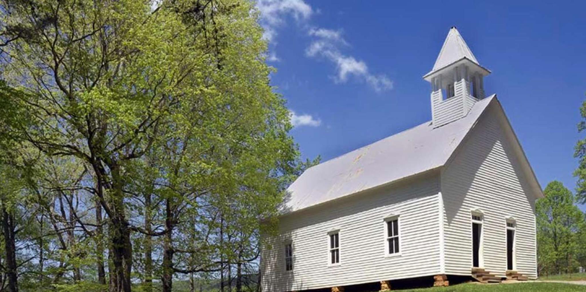 Pigeon Forge Cades Cove Tour in a Panorama Van - Image 4