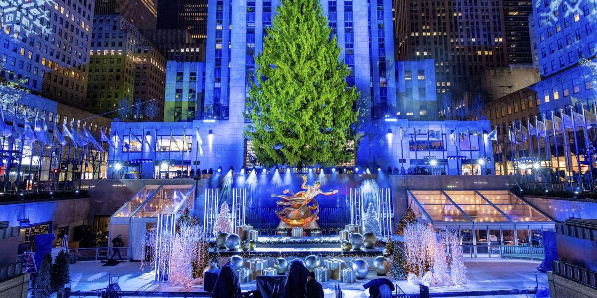 New York City Christmas Lights Carriage Ride