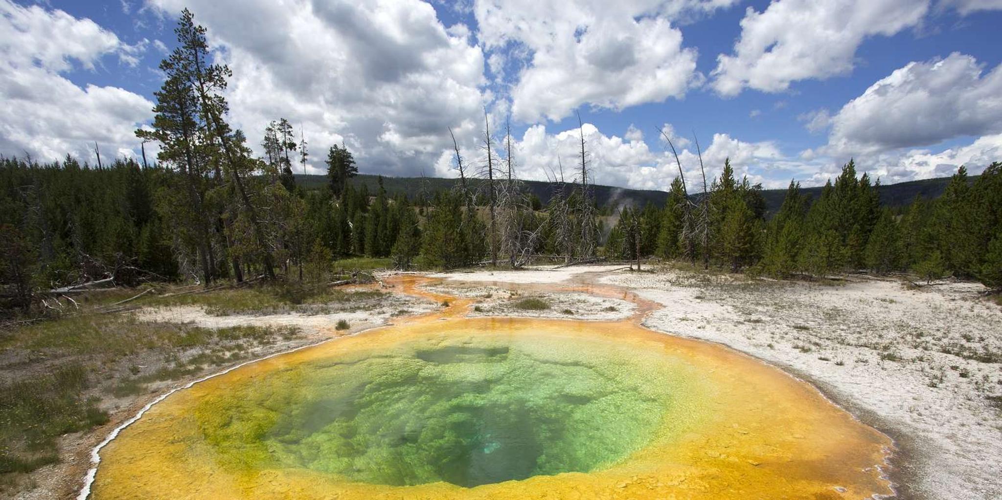 Jackson Yellowstone National Park Tour 2-Day - Image 3