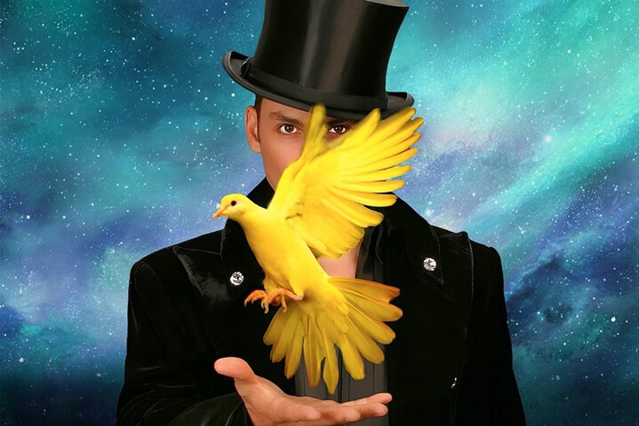 Las Vegas Magic Show at Planet Hollywood 75 min - Image 1