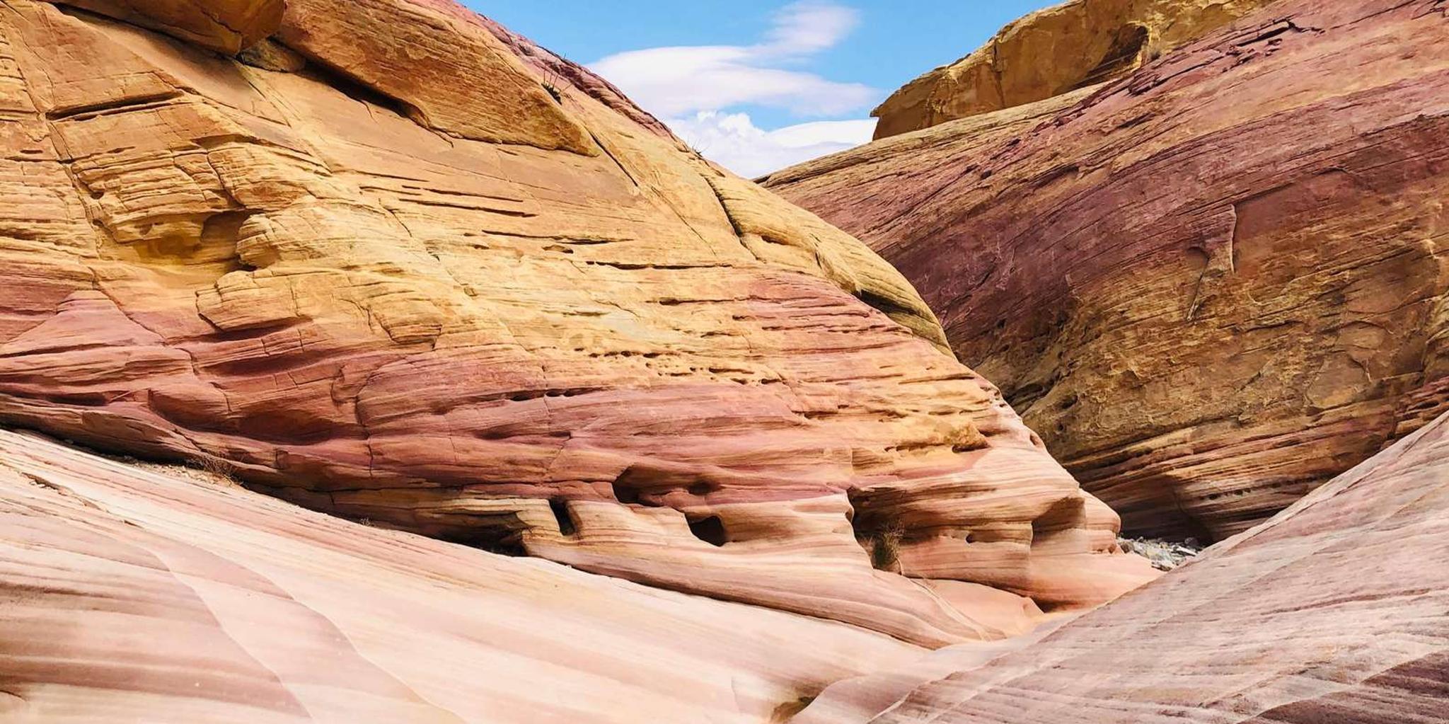 Las Vegas Valley of Fire Small Group Tour 4 hr - Image 3