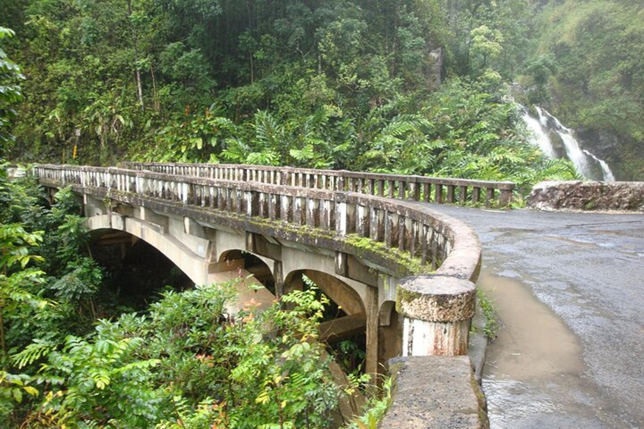 Hana Private Road Tour - Image 6