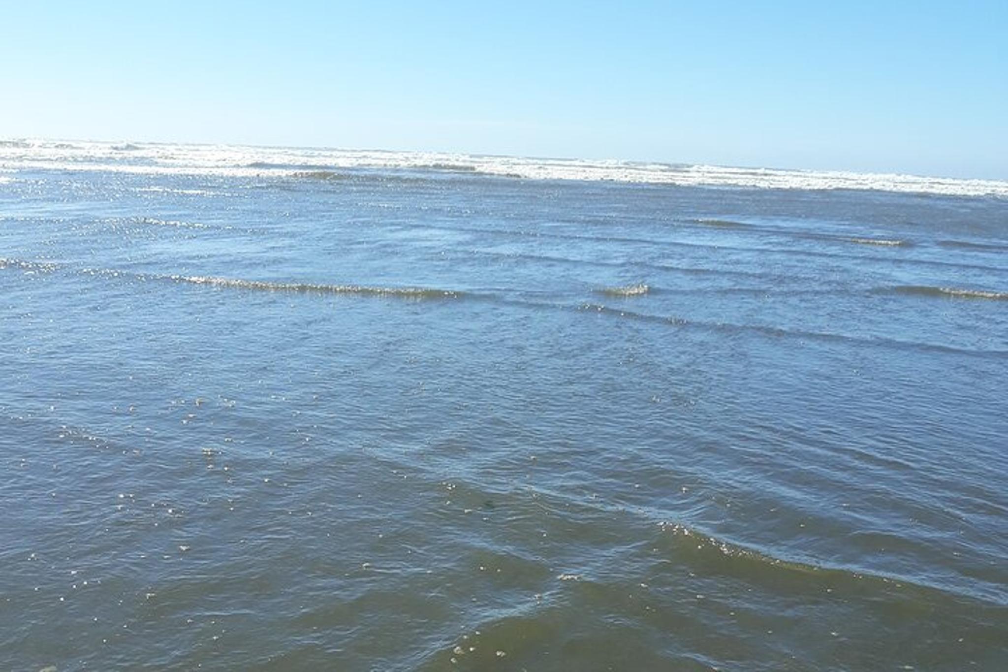 Long Beach Pacific Ocean Experience - Image 3