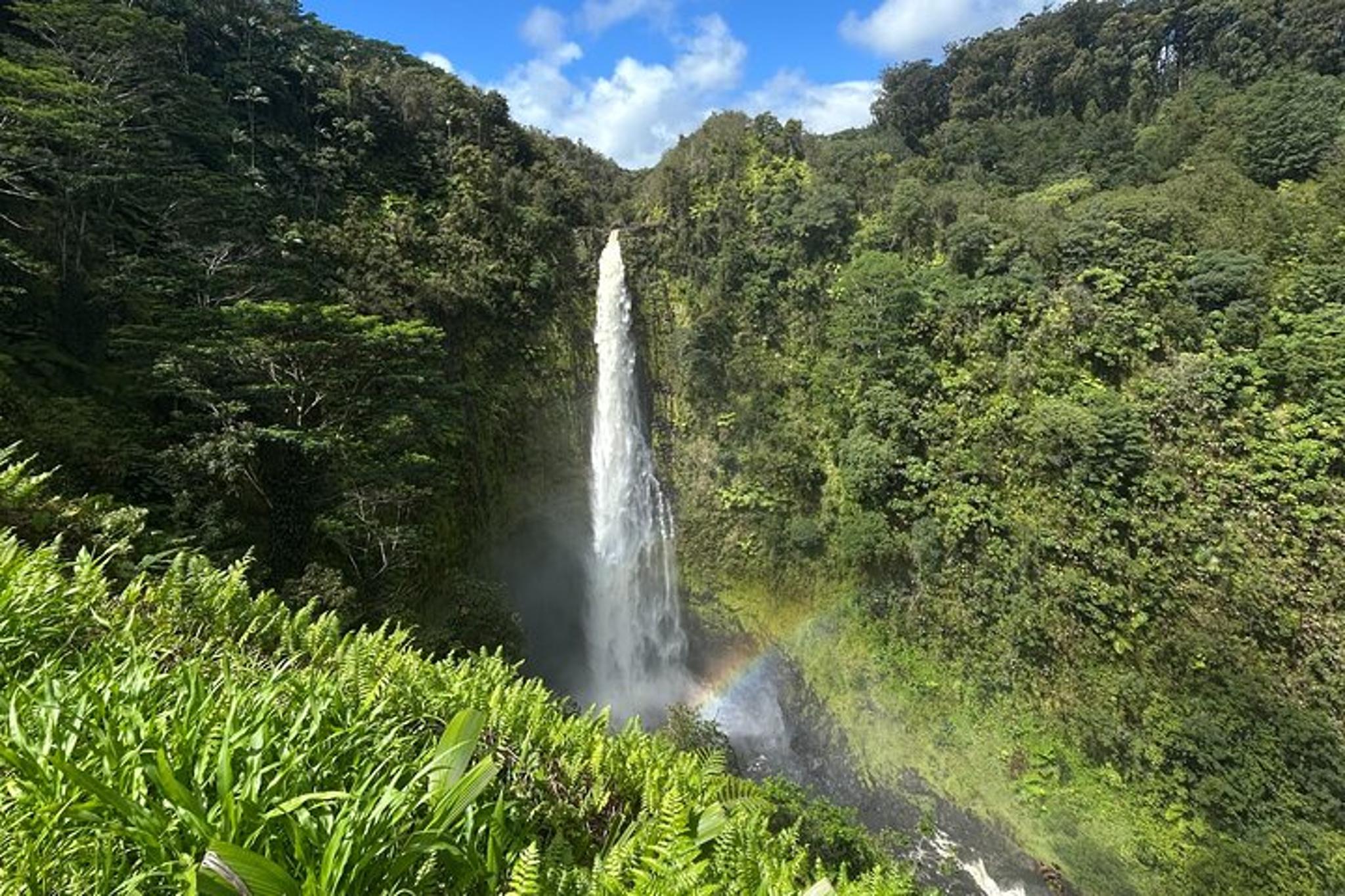 Hilo Volcanoes and Akaka Falls Excursion - Image 2