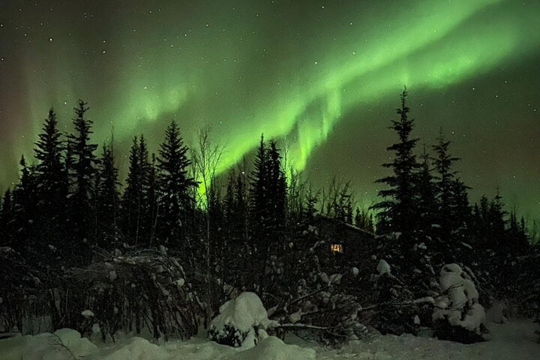 Fairbanks Chena Hot Springs Northern Lights Tour - Image 4
