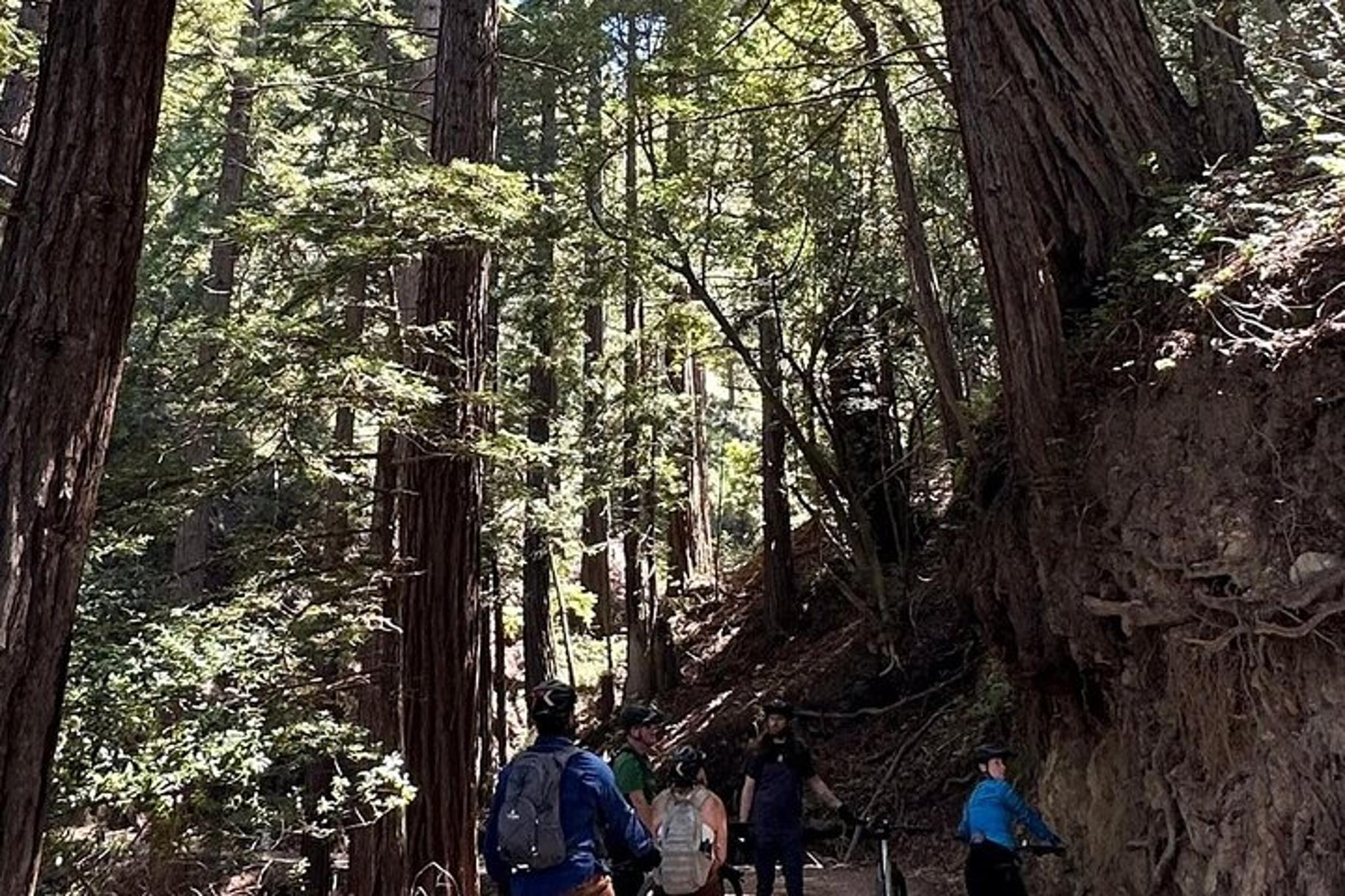 Big Sur Electric Bike Tour Along Old Coast Road - Image 5