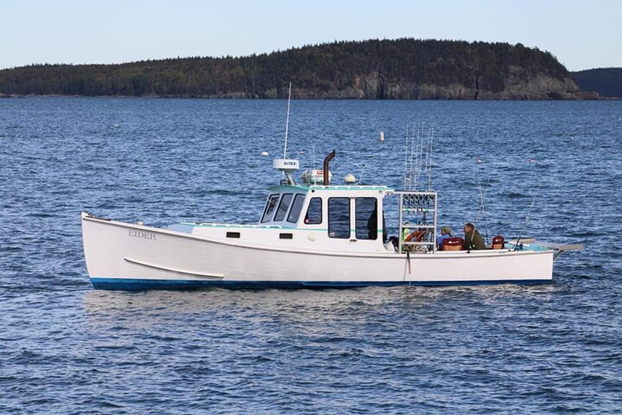Bar Harbor Fishing Charter in Frenchman Bay - Image 2