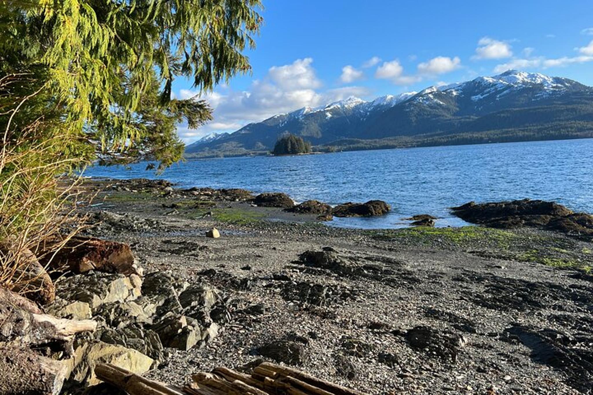 Ketchikan Low Tide Excursion and Totem Bight Park - Image 2