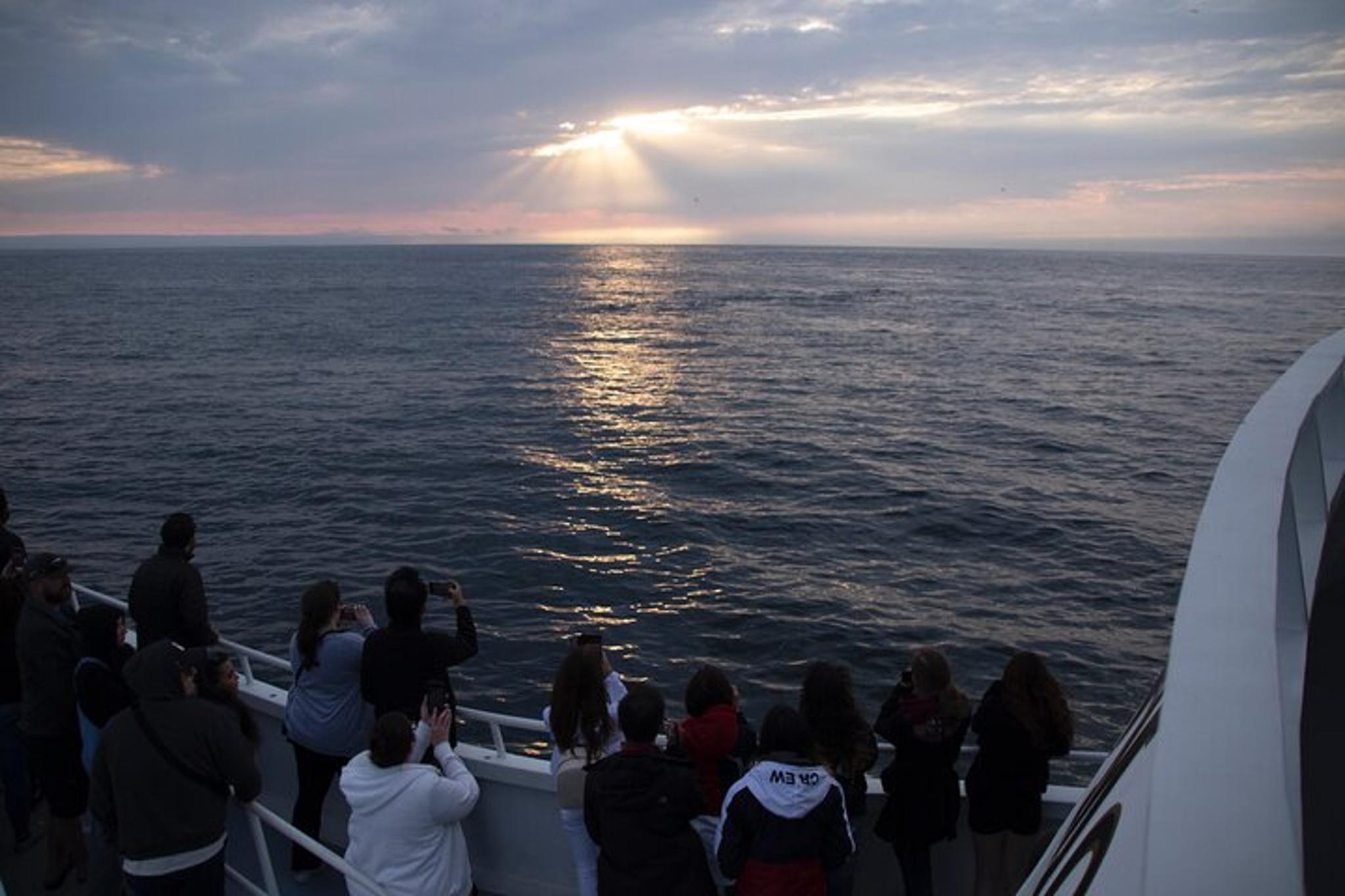 Monterey Whale Watching Tour - Image 4