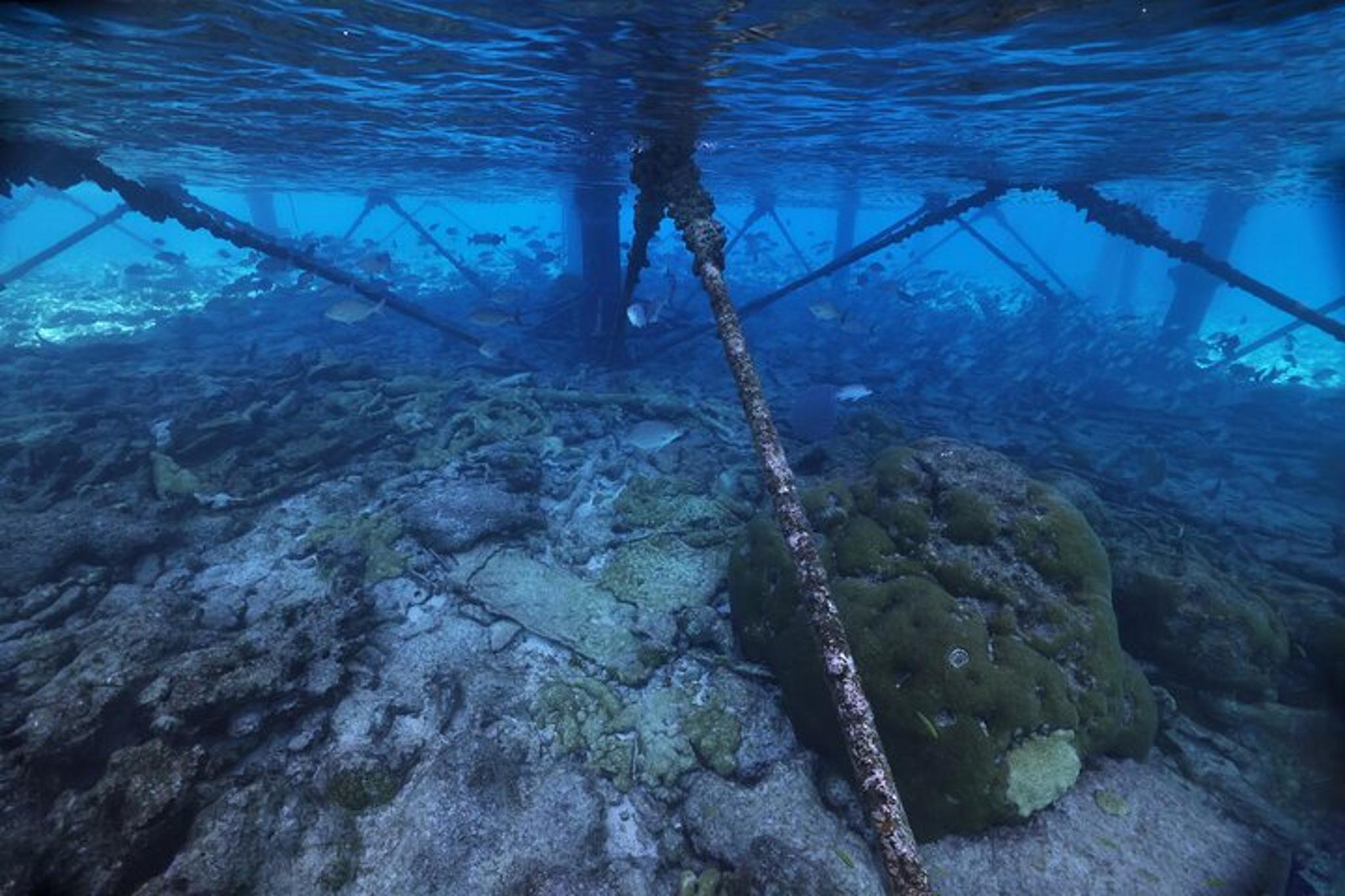 Key Largo Snorkeling Tour at Carysfort Lighthouse - Image 3