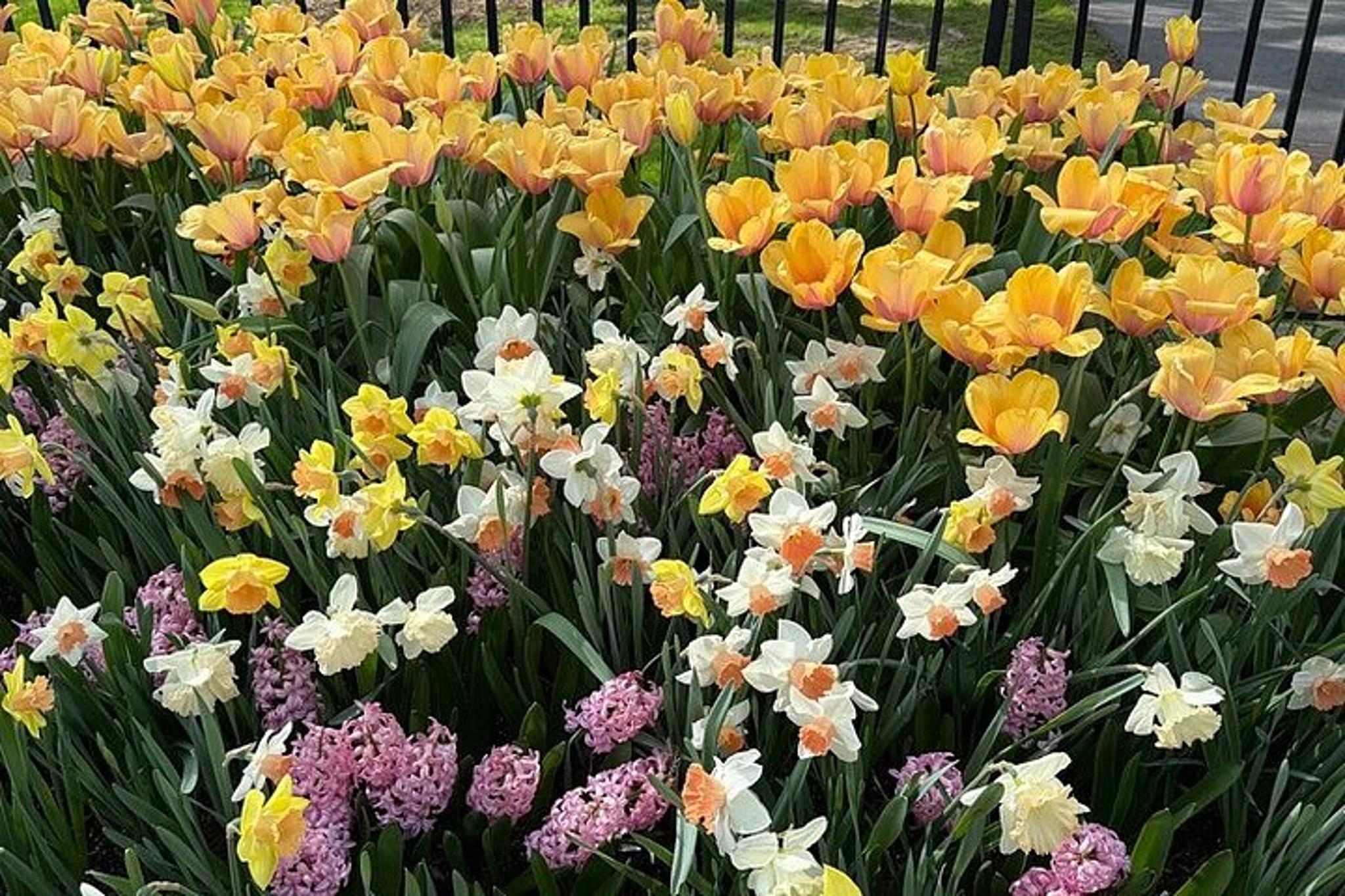 Longwood Gardens Tour - Image 5