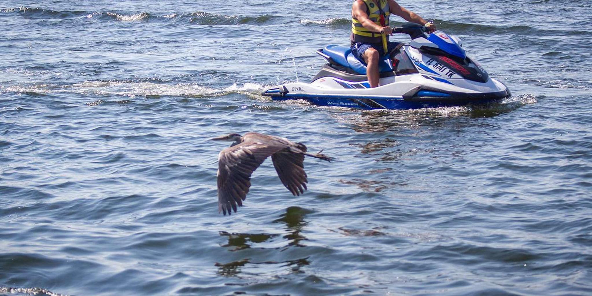 Destin Waverunner Rental with Crab Island Access - Image 3