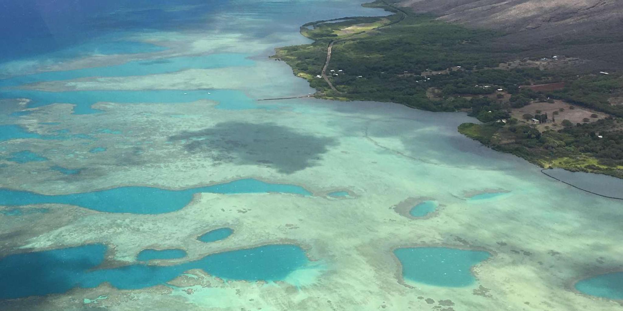 Maui Helicopter Tour: Hana Rainforest & Haleakala Crater - Image 4