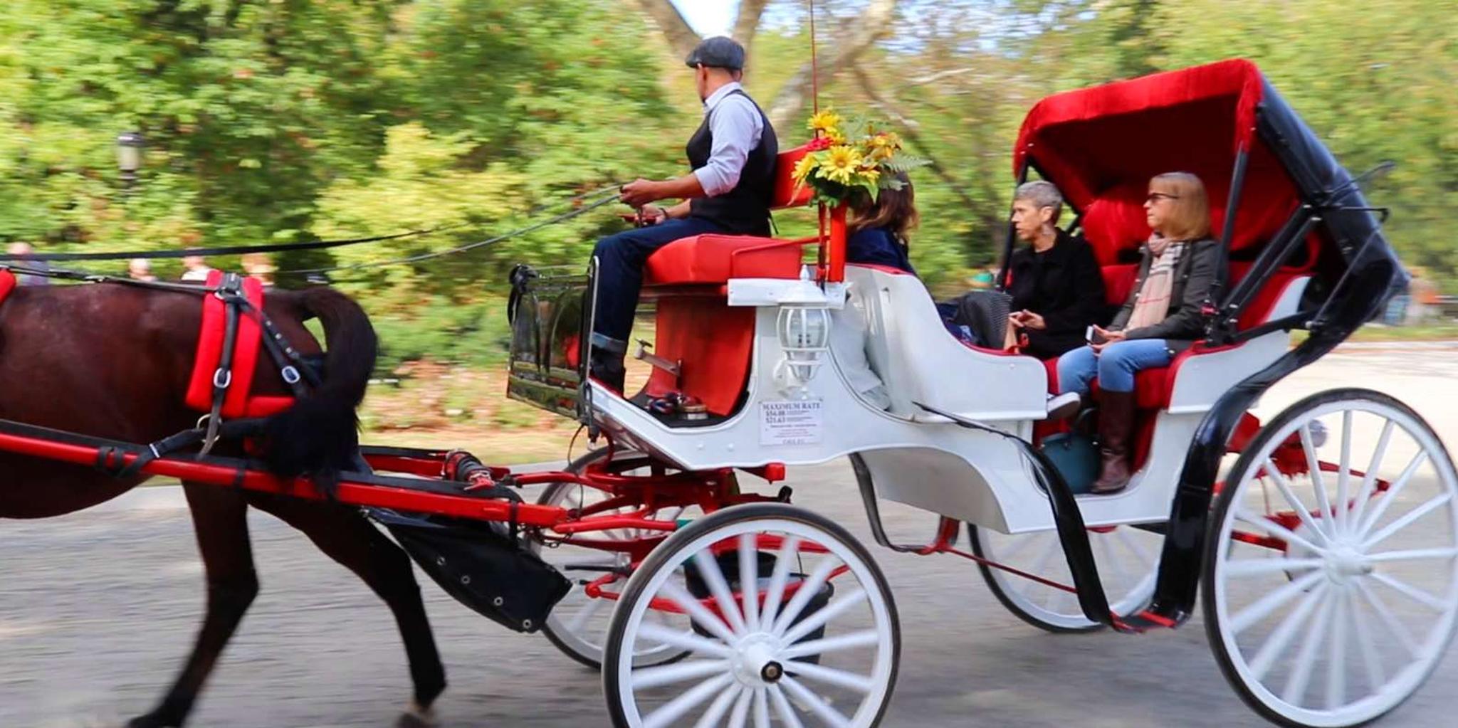 New York Central Park Horse Carriage Ride