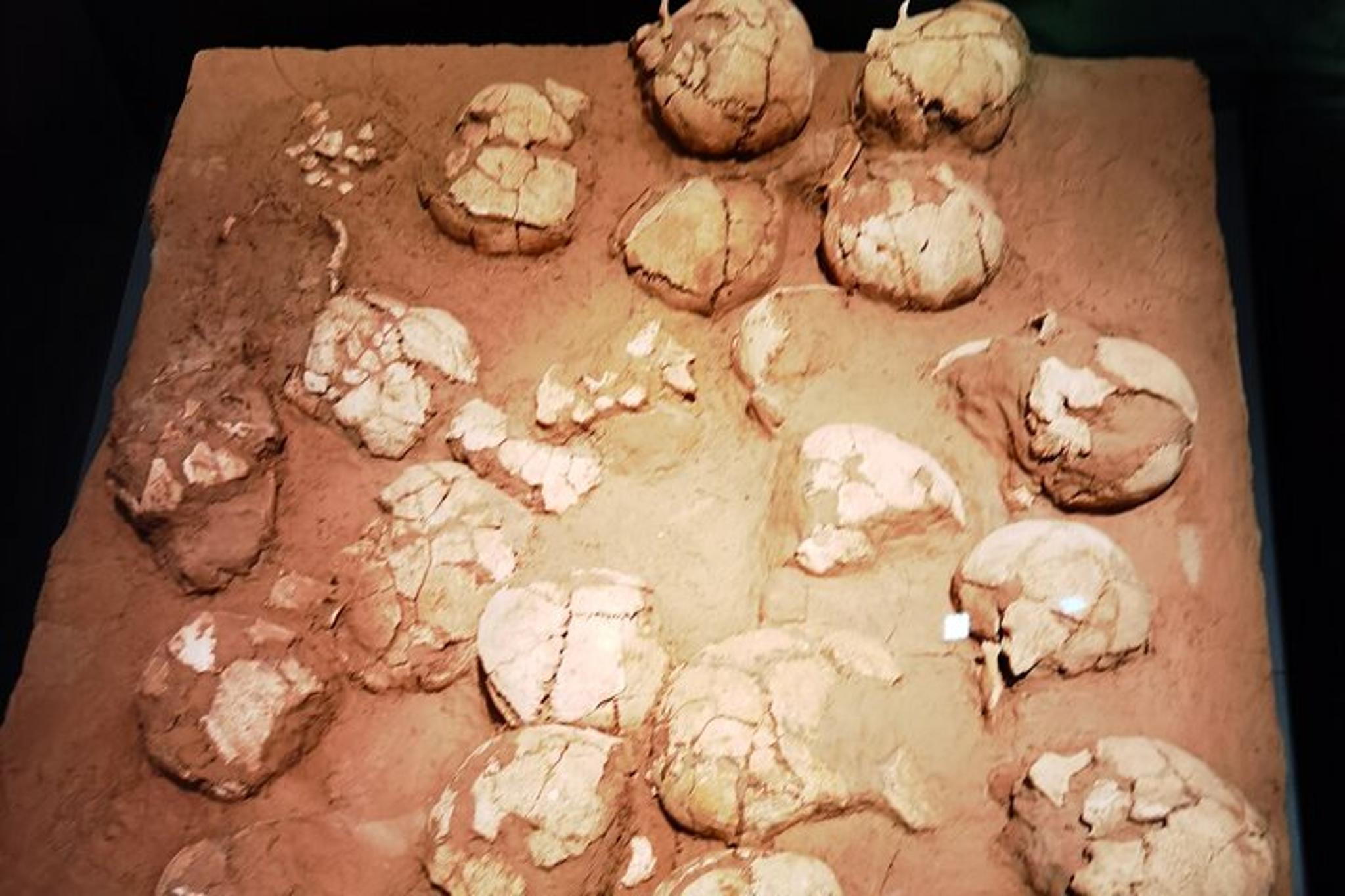 Shaanxi Archaeological Museum Tour - Image 3