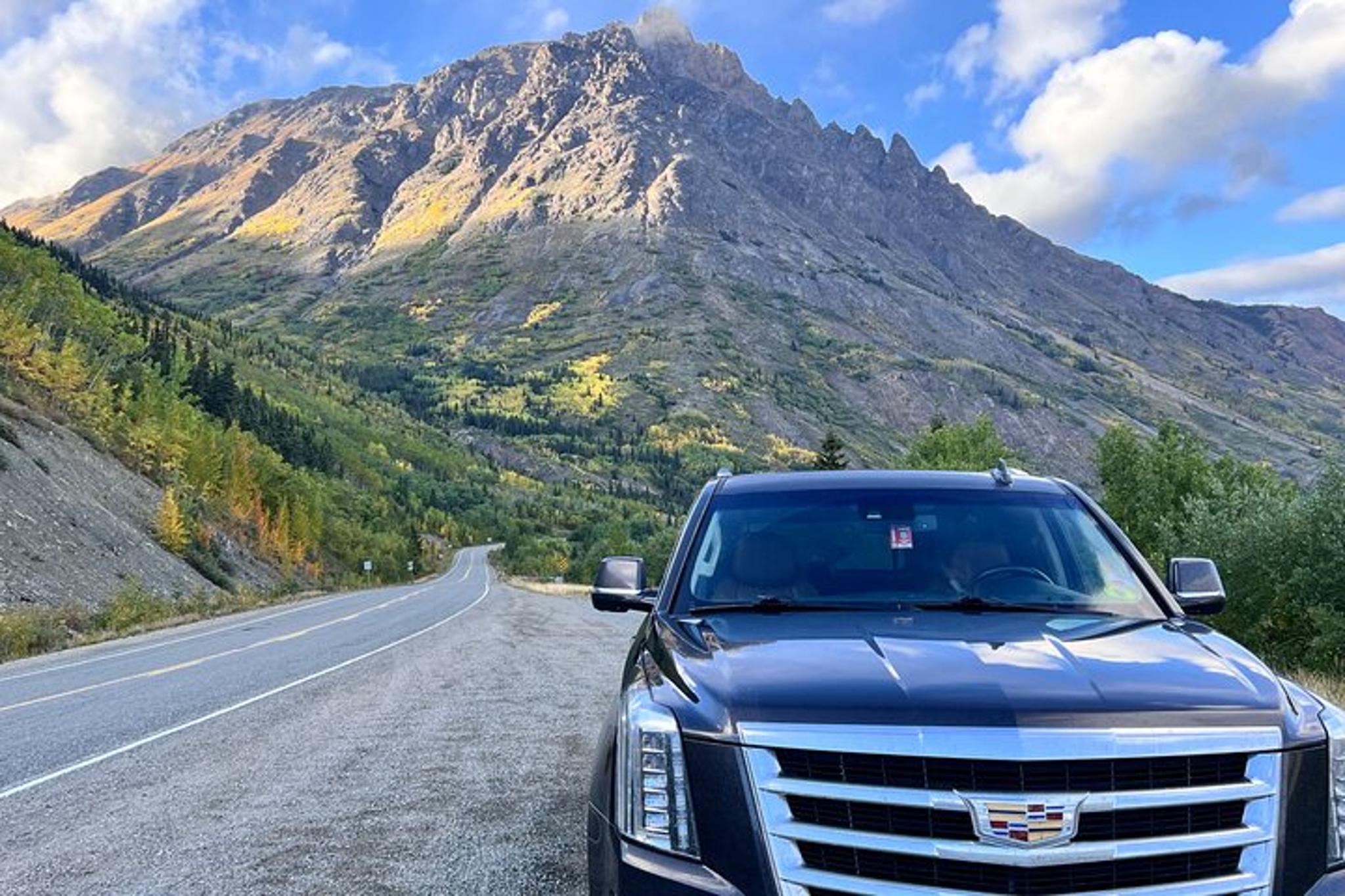Skagway Dog Mushing and Yukon Experience - Image 5