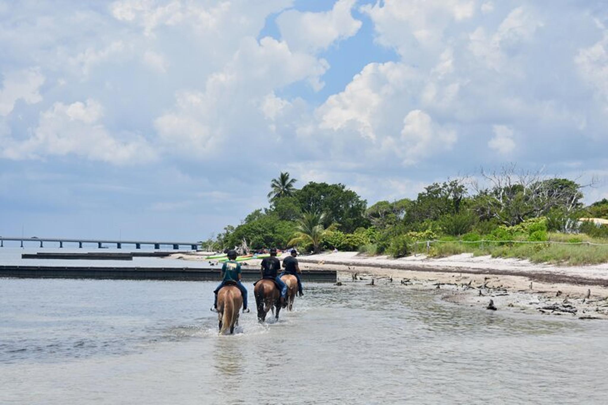 Miami Horseback Riding on Pristine Waters - Image 2