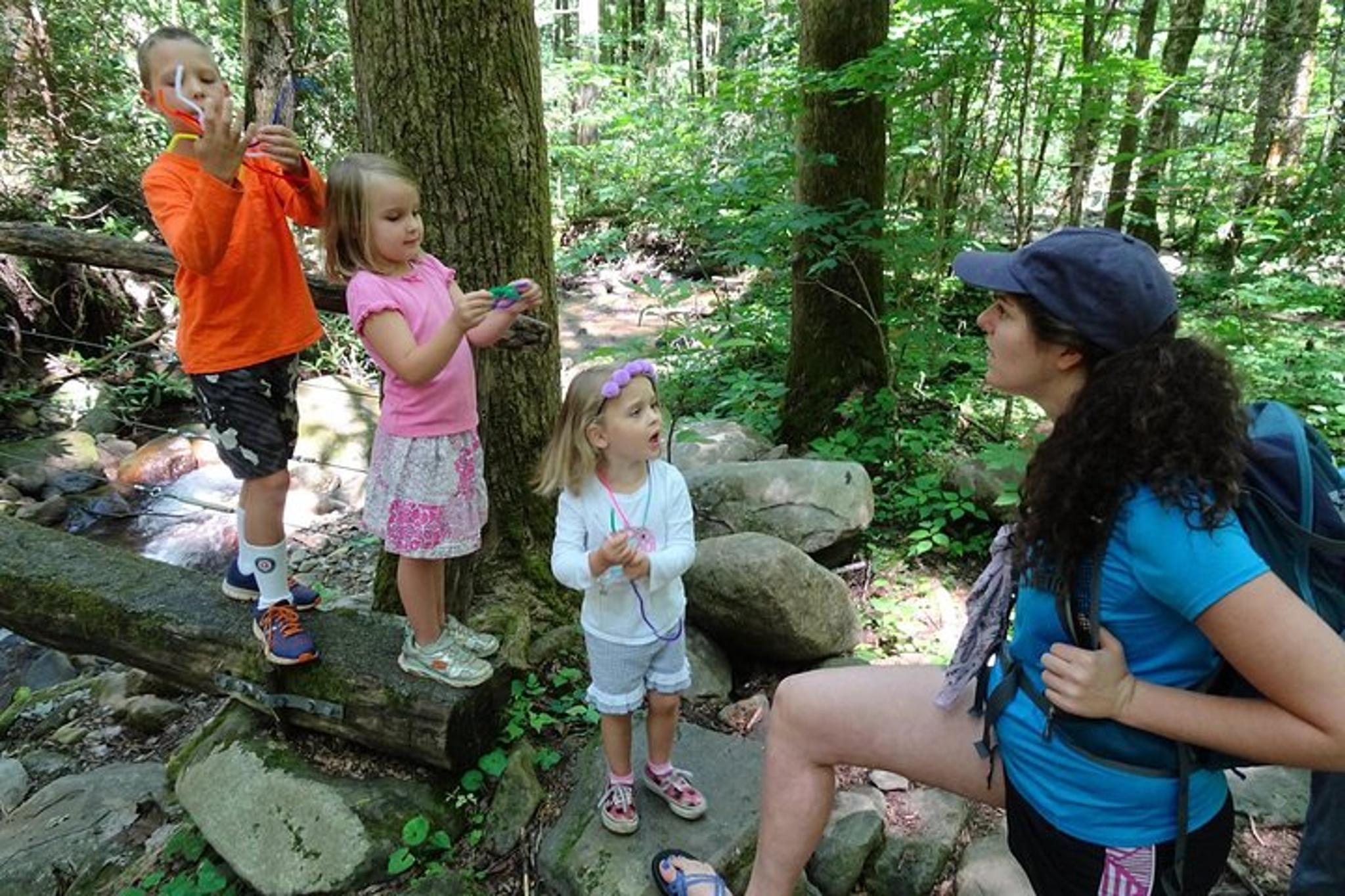 Gatlinburg Nature Exploration Tour - Image 4