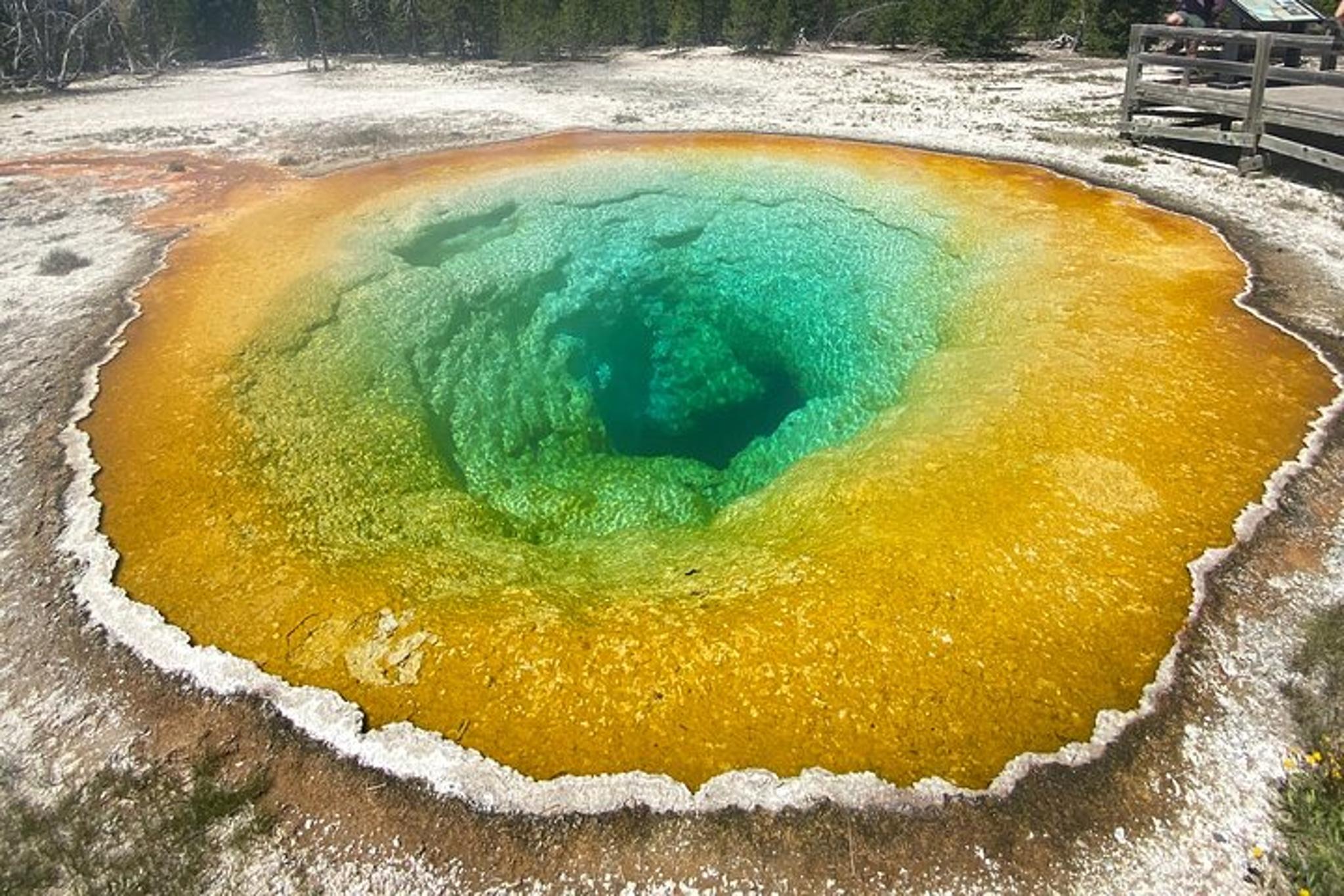 Yellowstone Geyser Basin Private Tour - Image 6