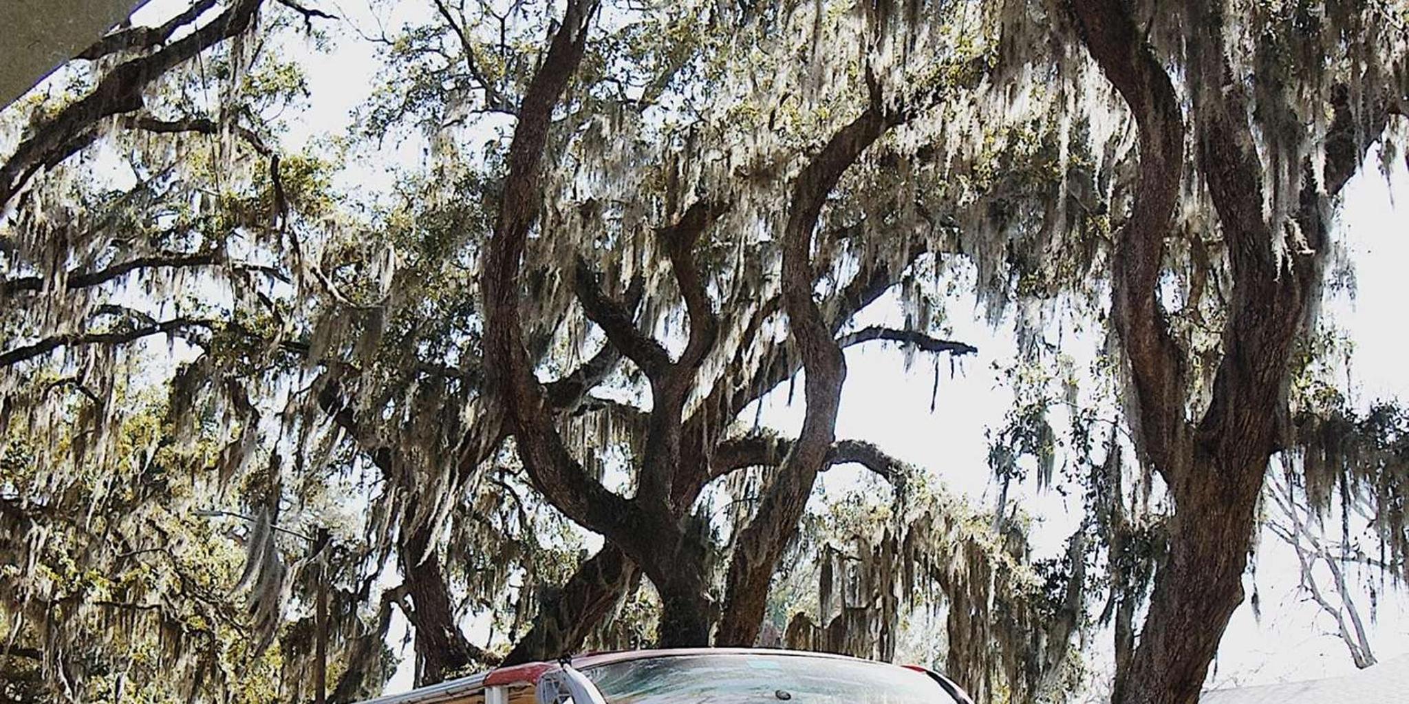 St. Augustine Wine and Dine Tour