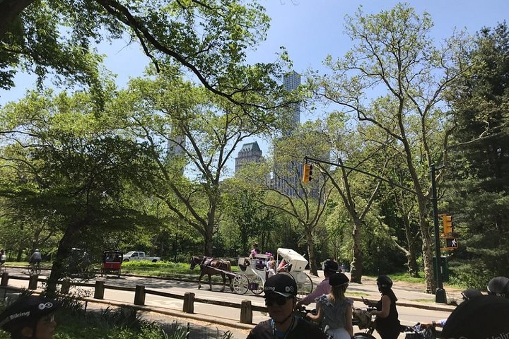 New York City Highlights Bike Tour - Image 6