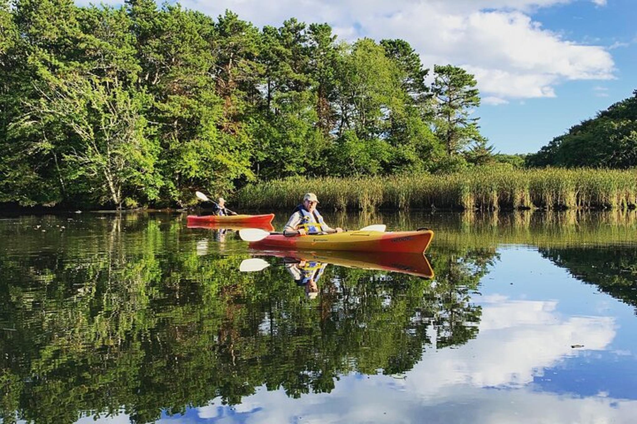 Cape Cod Kayak Tour in the Great Marsh - Image 5