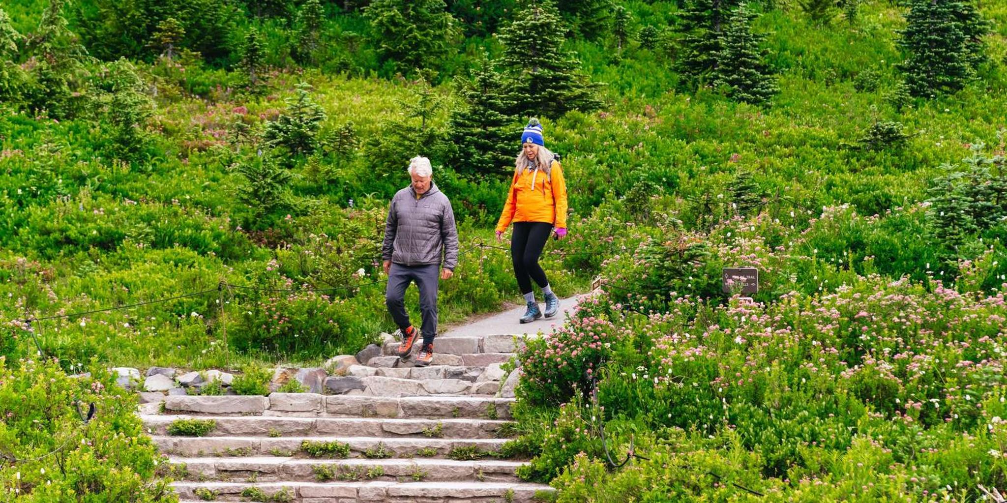 Seattle Mount Rainier National Park Day Tour - Image 4