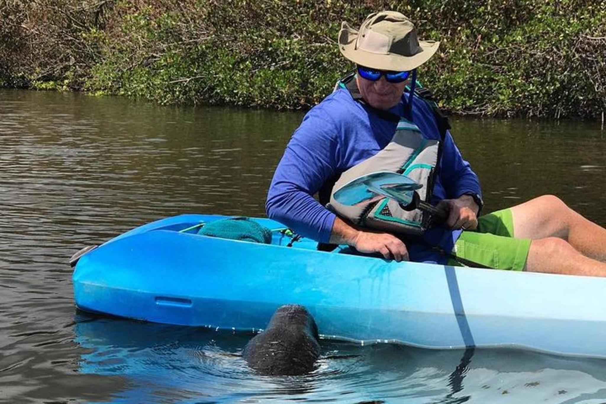Cocoa Beach Manatee and Dolphin Kayak Tour - Image 4