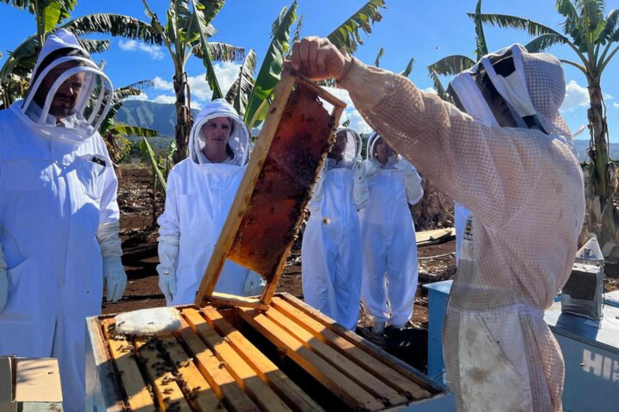 Waialua Bee Farm Ecotour and Honey Tasting - Image 5