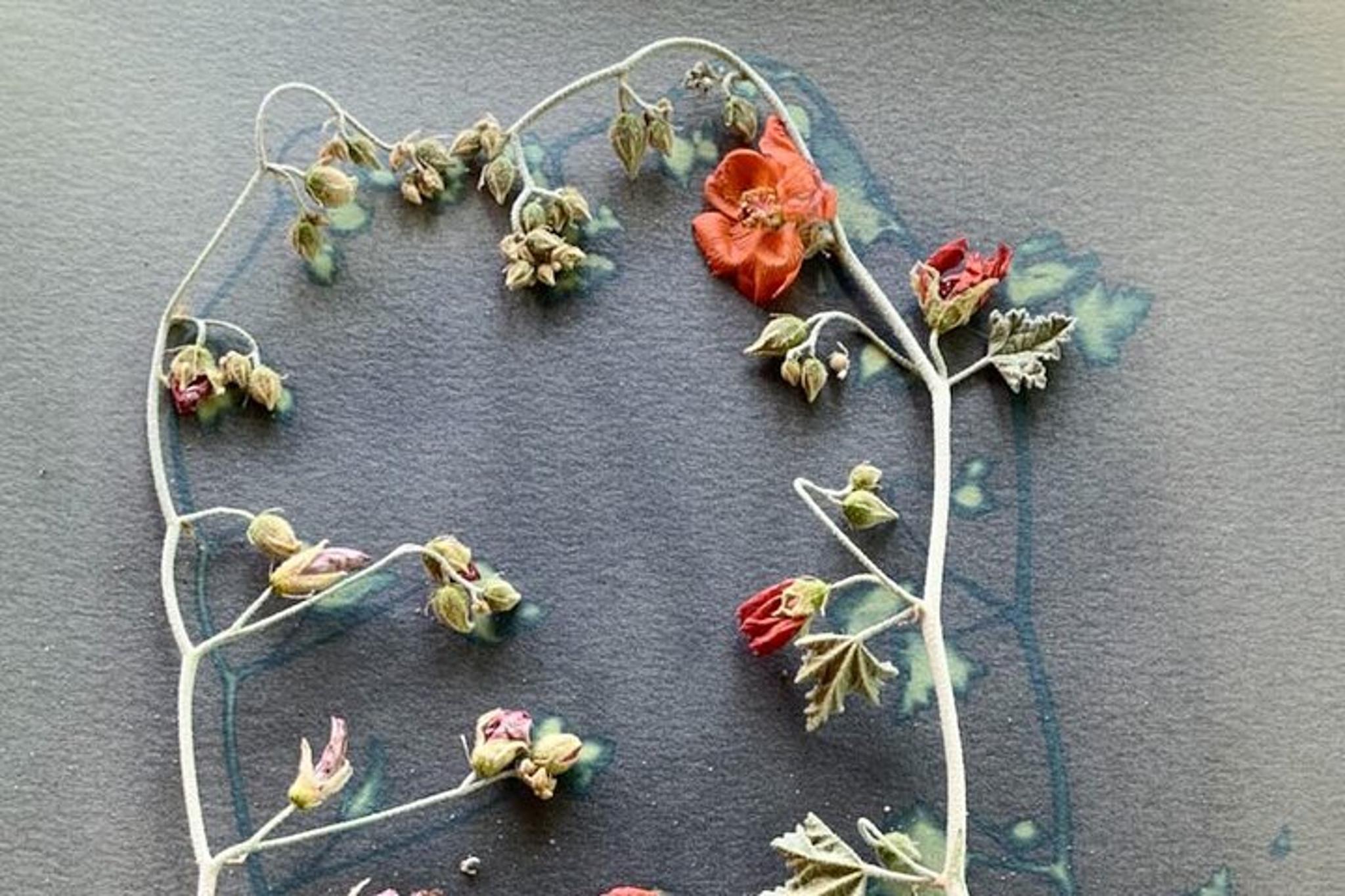 Joshua Tree Sun Print Workshop - Image 5