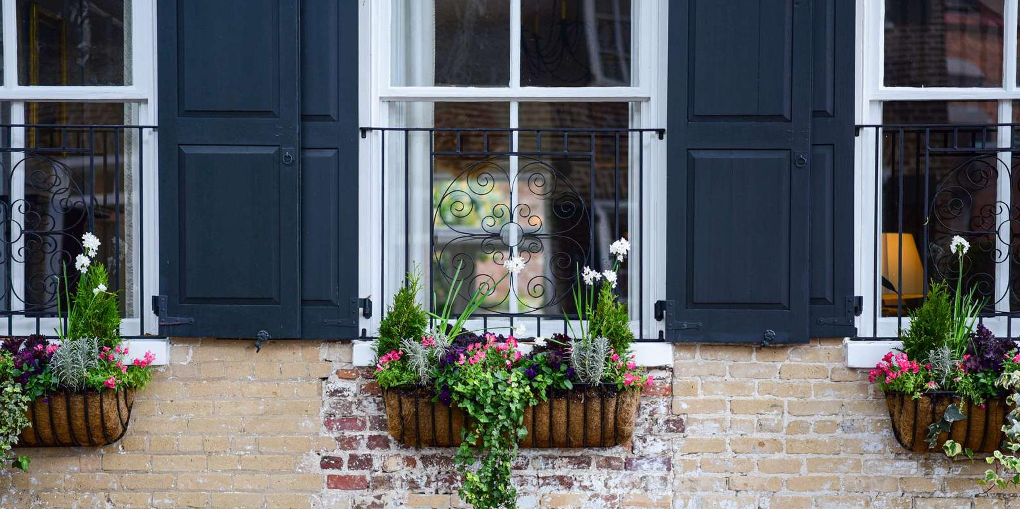 Charleston History Walking Tour - Image 4