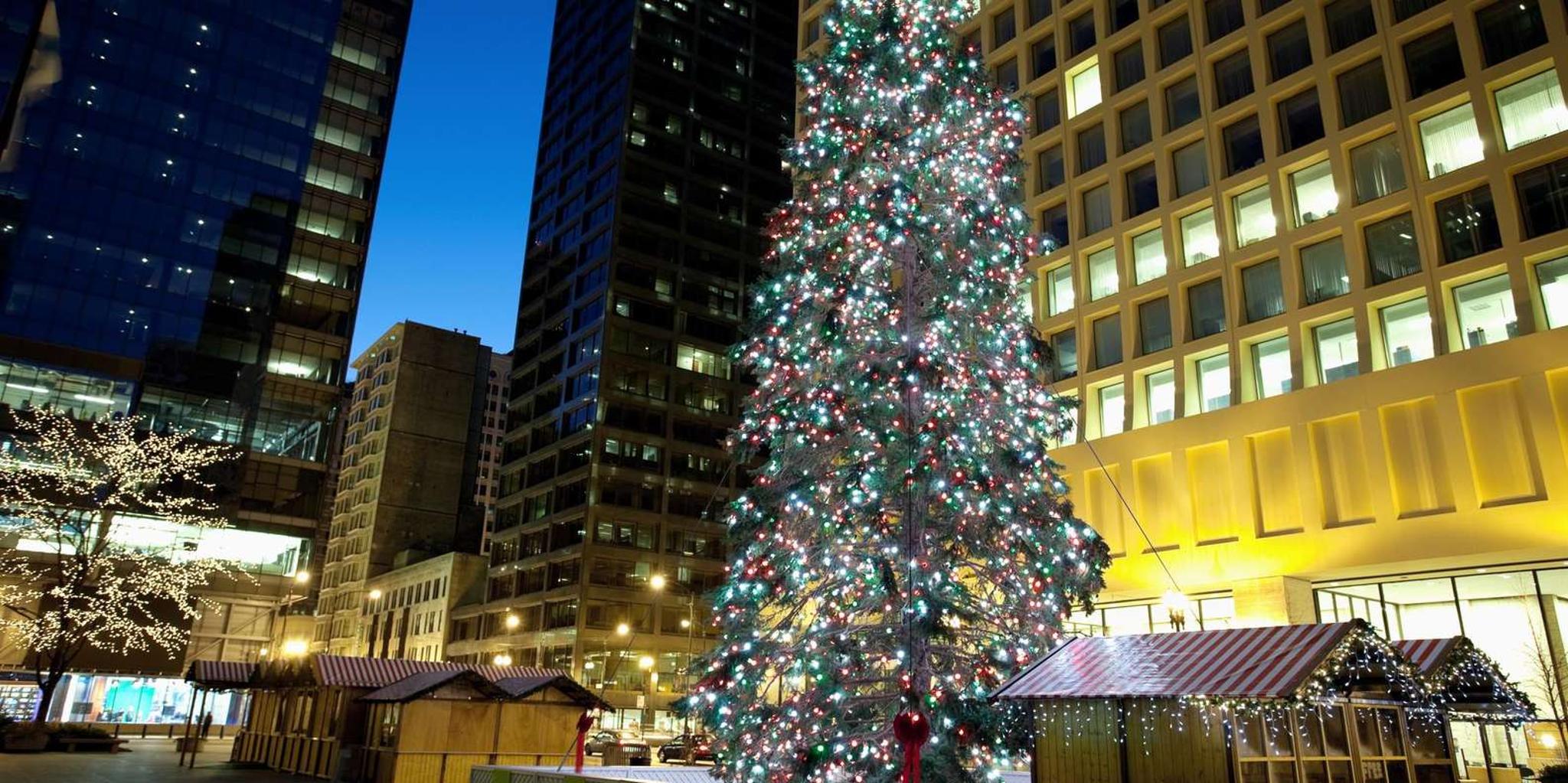Chicago Festive Lights Christmas Tour - Image 3