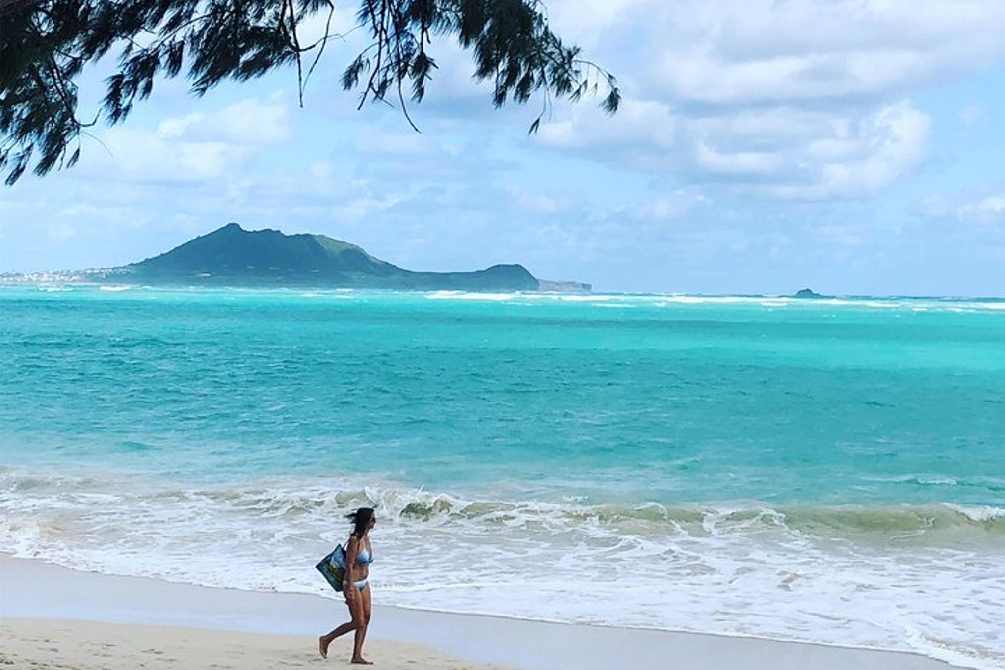 Oahu Private Farewell Tour 7 hr - Image 3