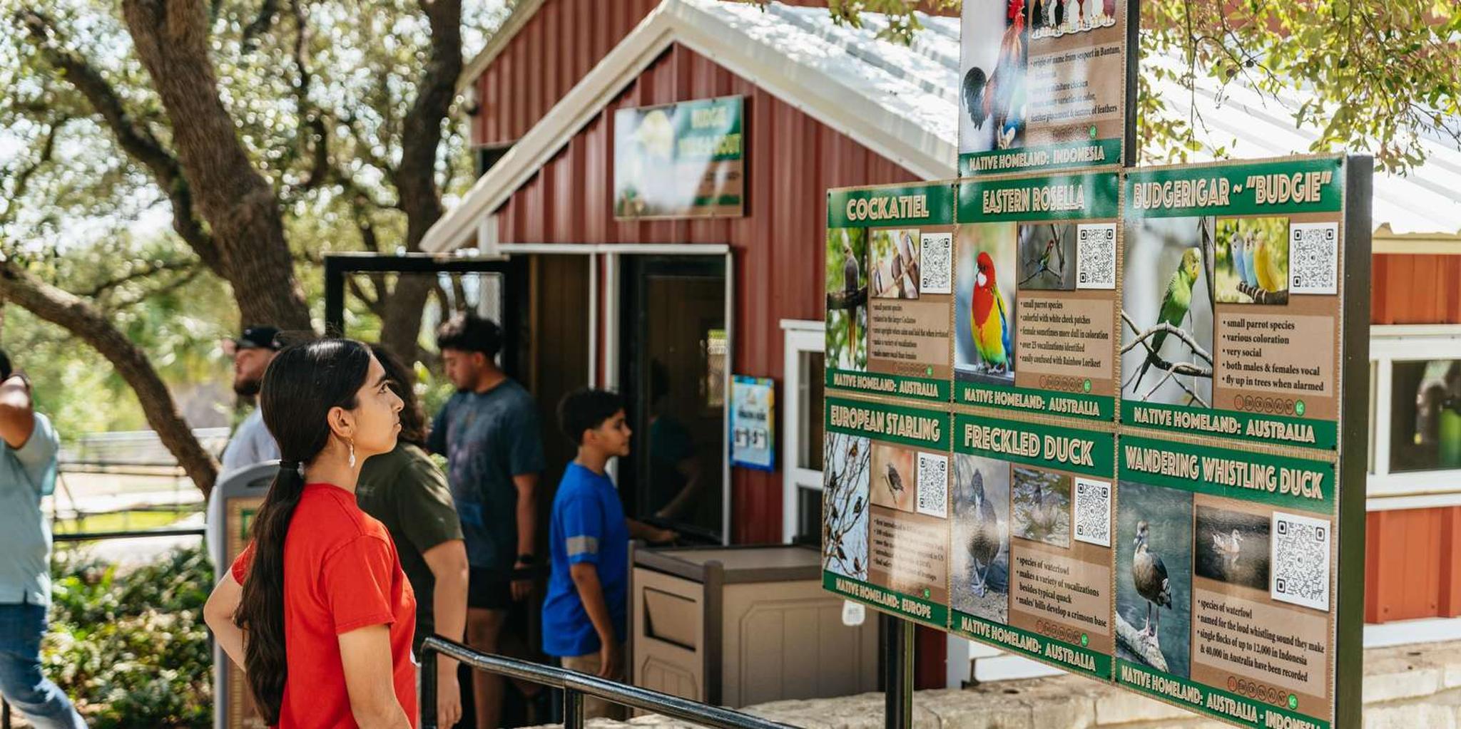 San Antonio Wildlife Safari Drive-Thru - Image 5