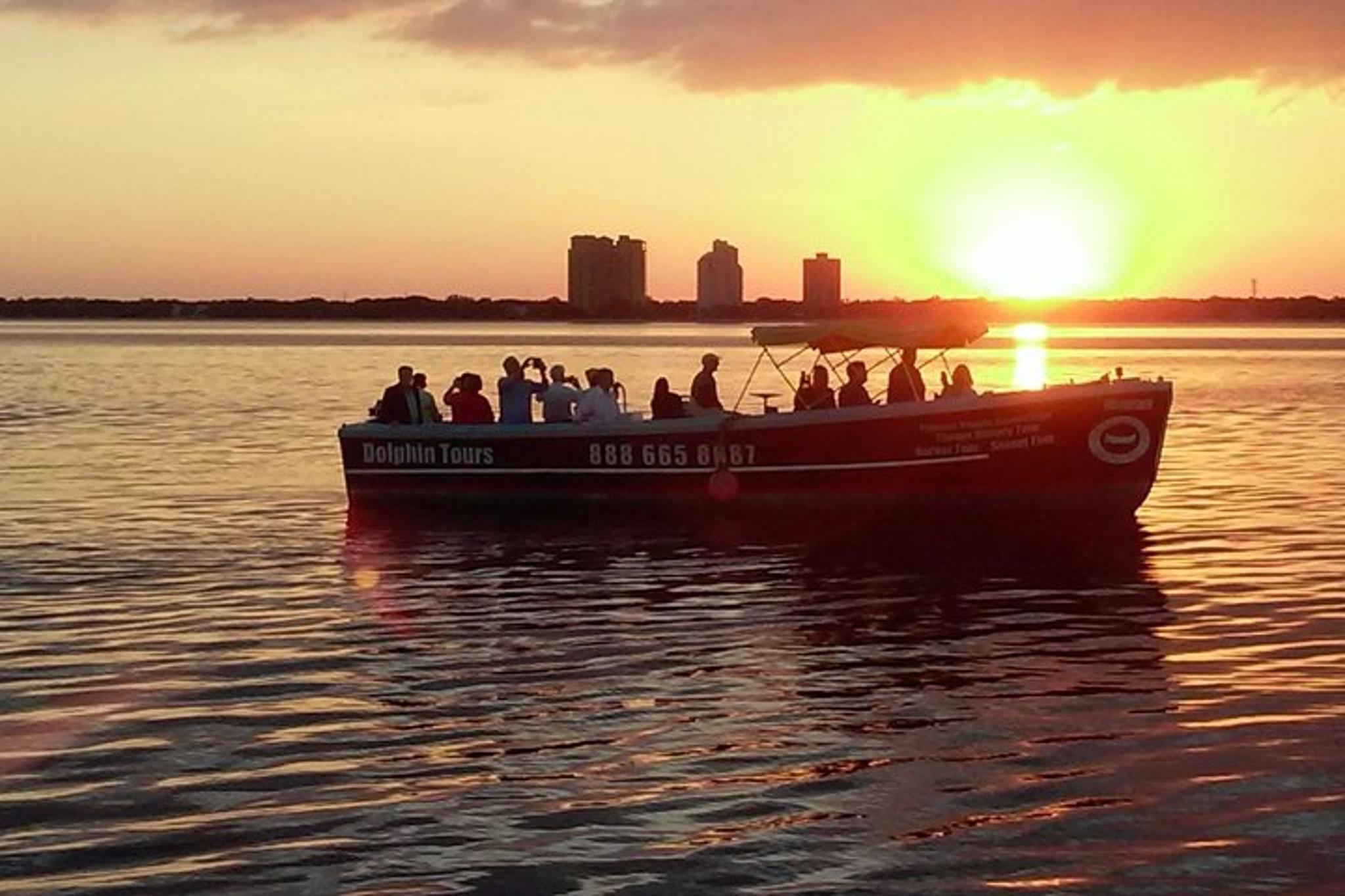 Tampa Dolphin Sightseeing Cruise 1.5 hr - Image 4