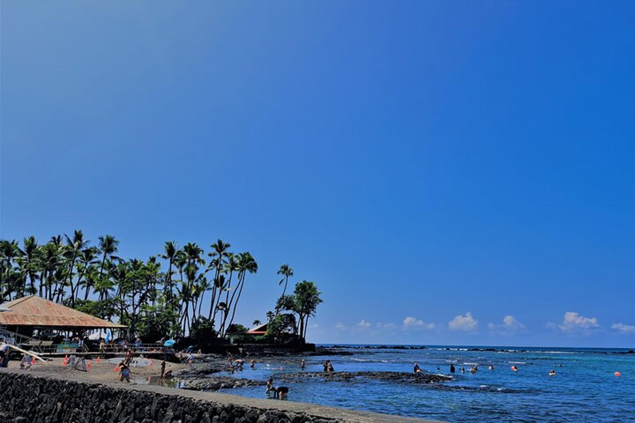 Kailua-Kona Private Tour in Luxury Van - Image 5