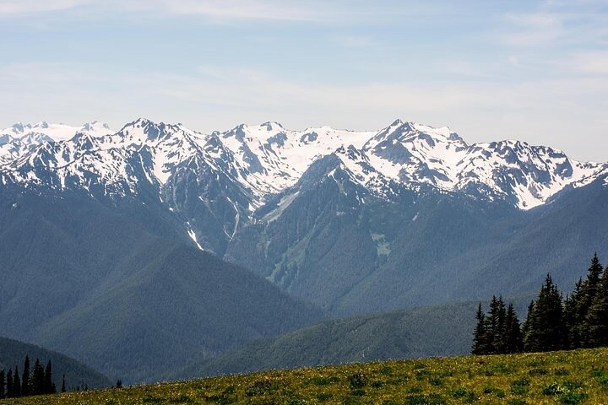 Seattle Olympic National Park Day Tour - Image 3