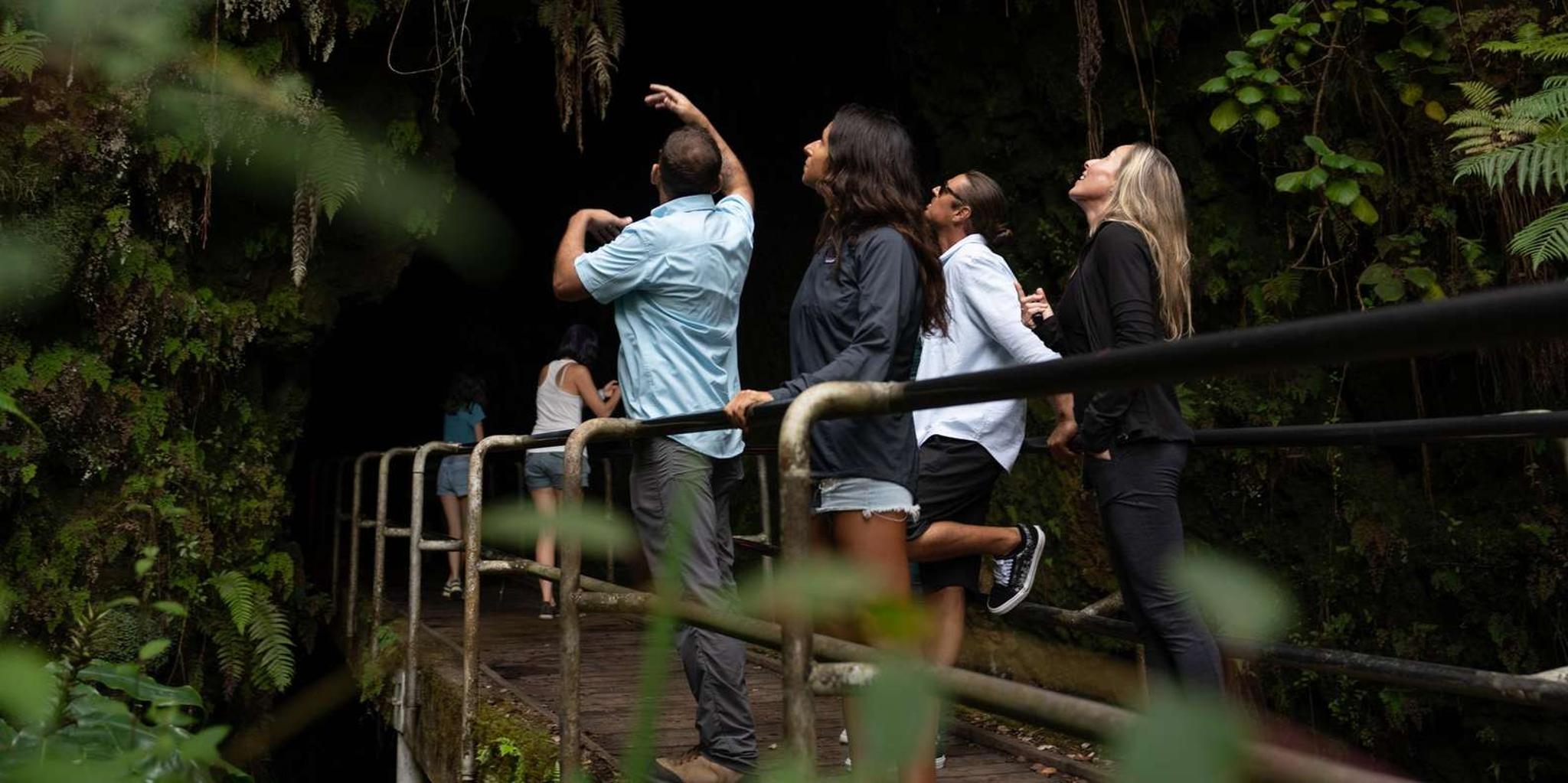 Hawaii Volcanoes Tour with Dinner and Pickup - Image 2
