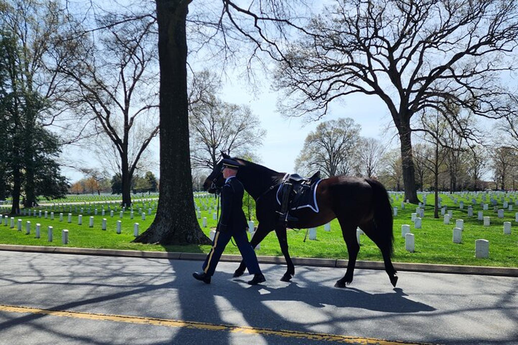 Arlington National Cemetery Walking Tour - Image 5
