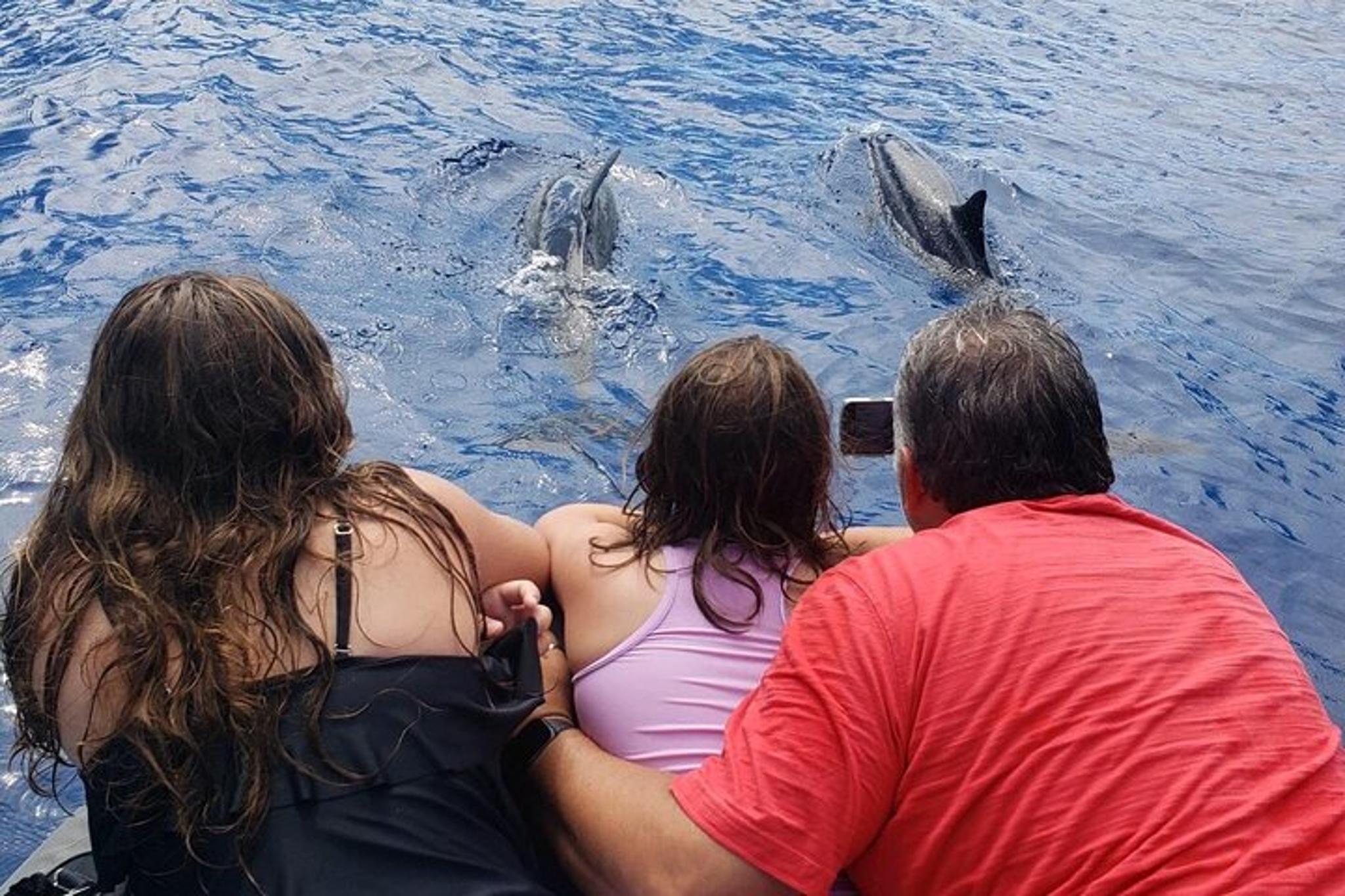 Kailua-Kona Snorkel and Wildlife Watch 2.5 hr