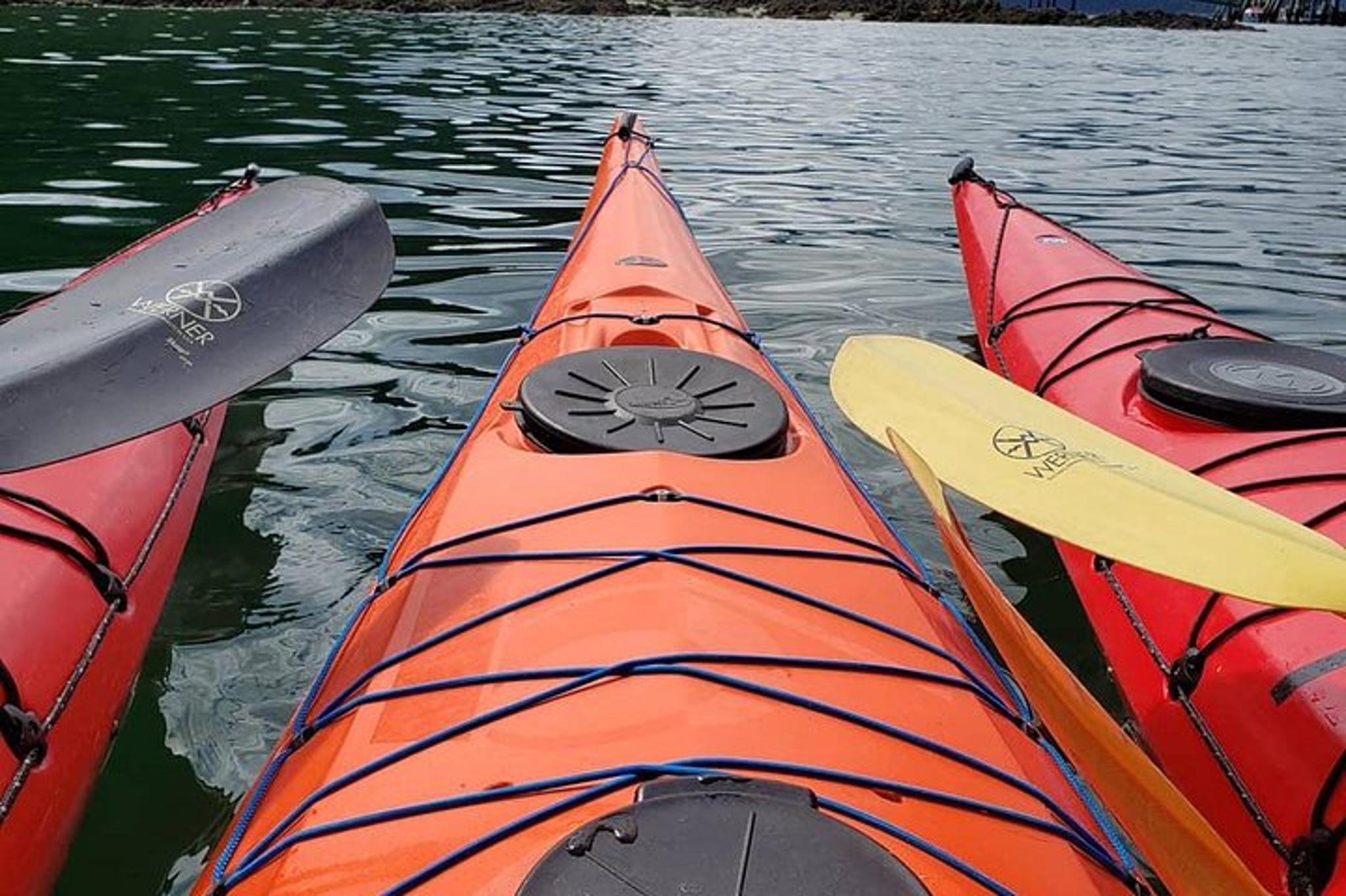 Hoonah Kayak Tour - Image 4
