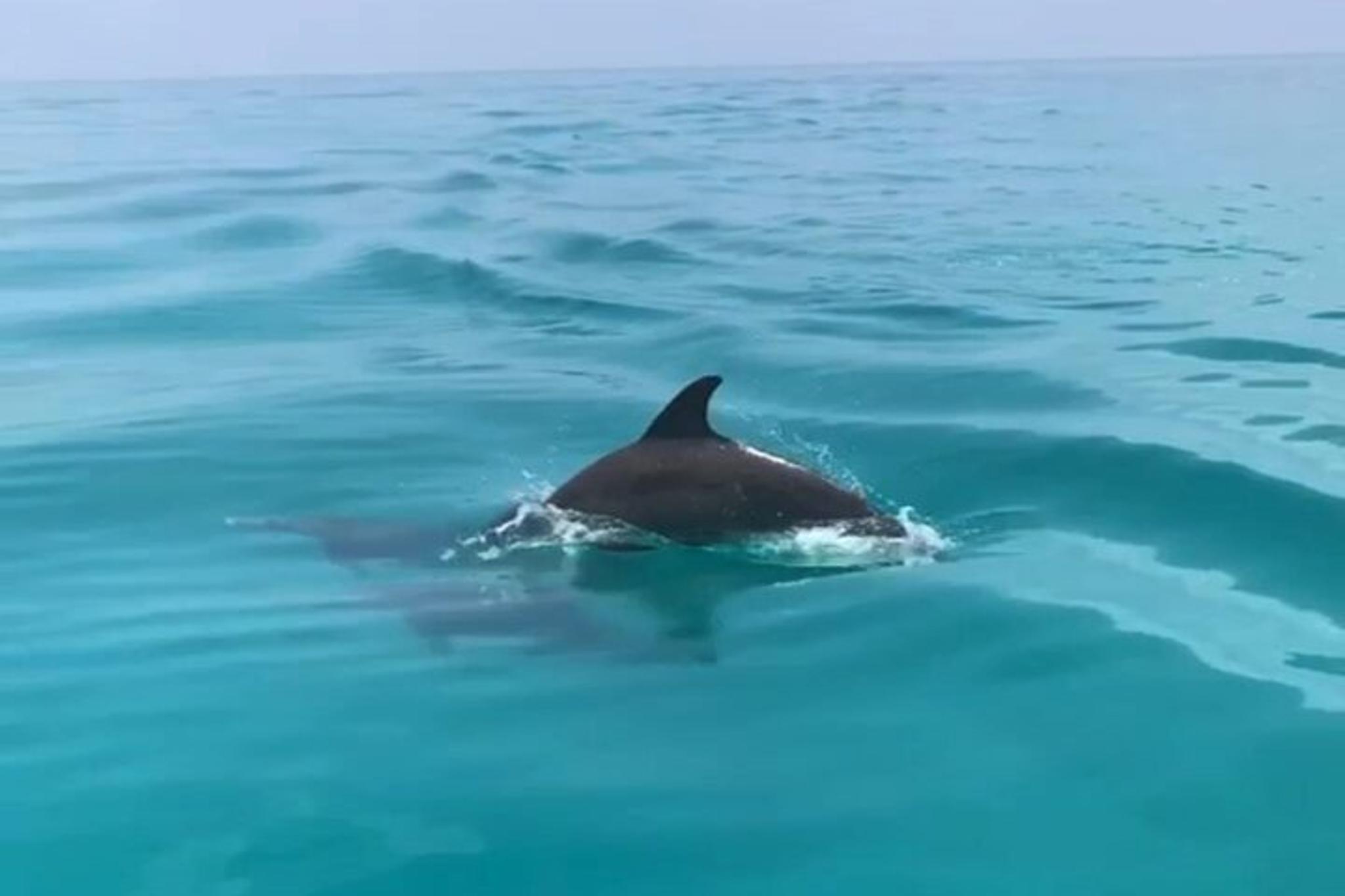 Key West Tiki Boat Eco Cruise - Image 3