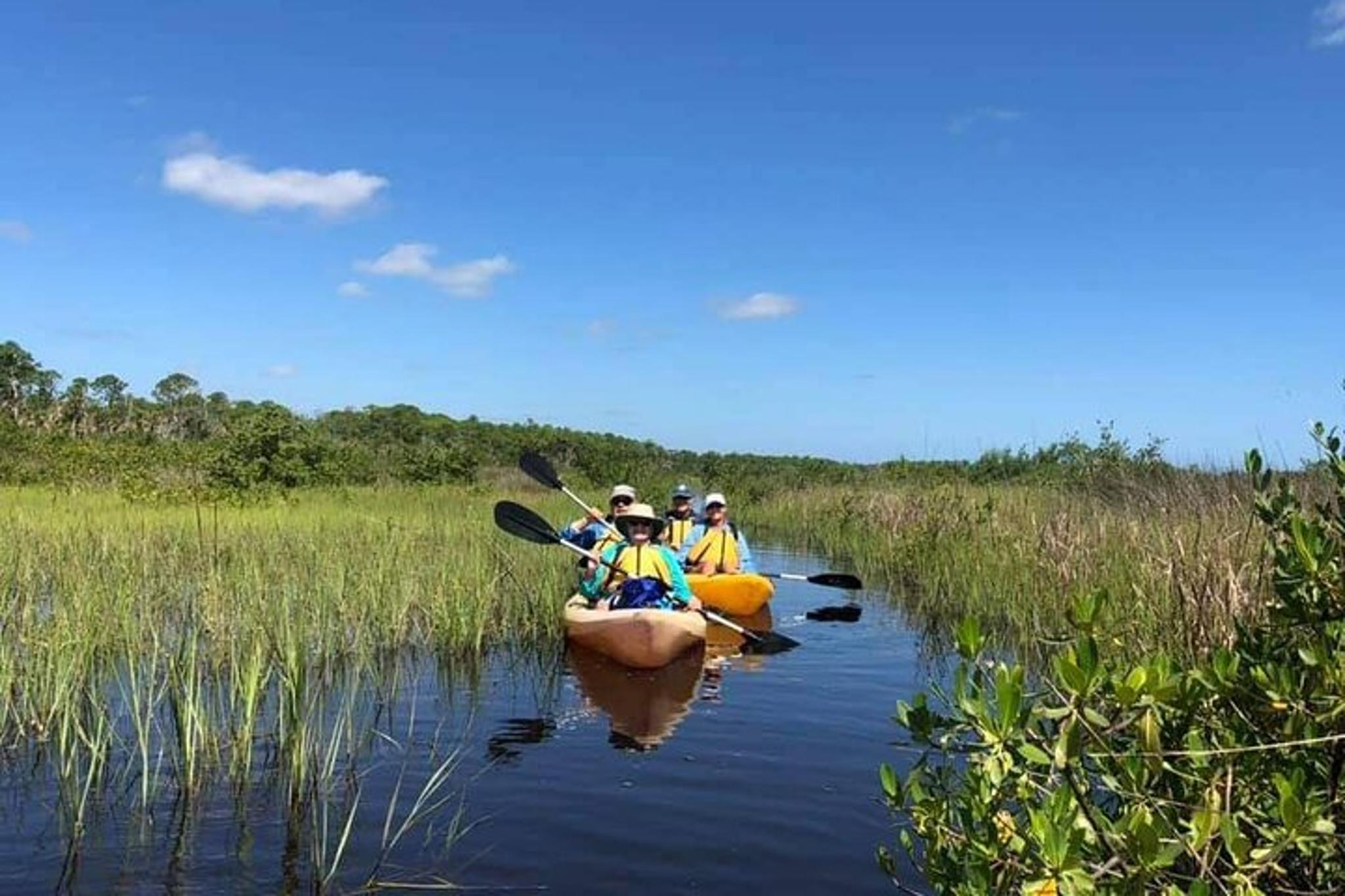 New Smyrna Beach Wildlife Eco Kayak Tour - Image 6