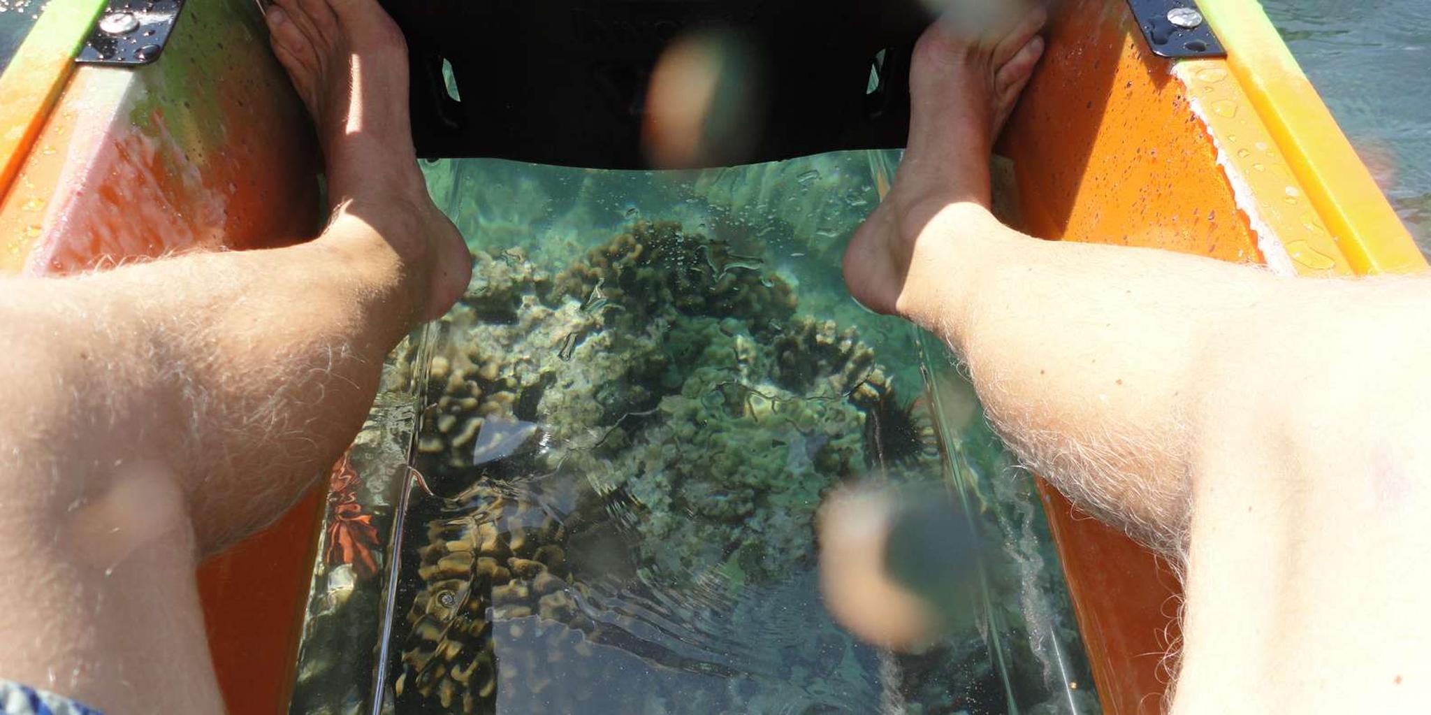 Maui Clear Bottom Kayak Rental - Image 4