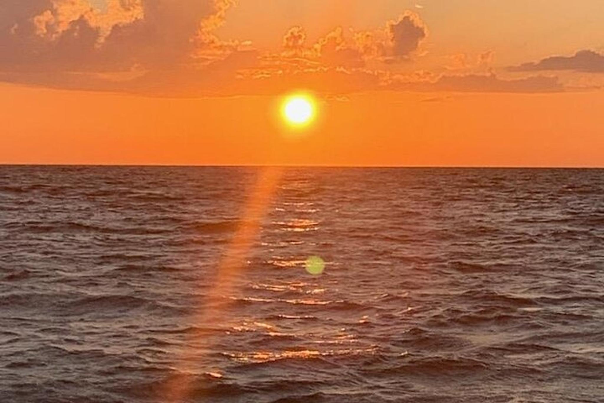 Punta Gorda Boat Tour to Cayo Costa and Cabbage Key - Image 6