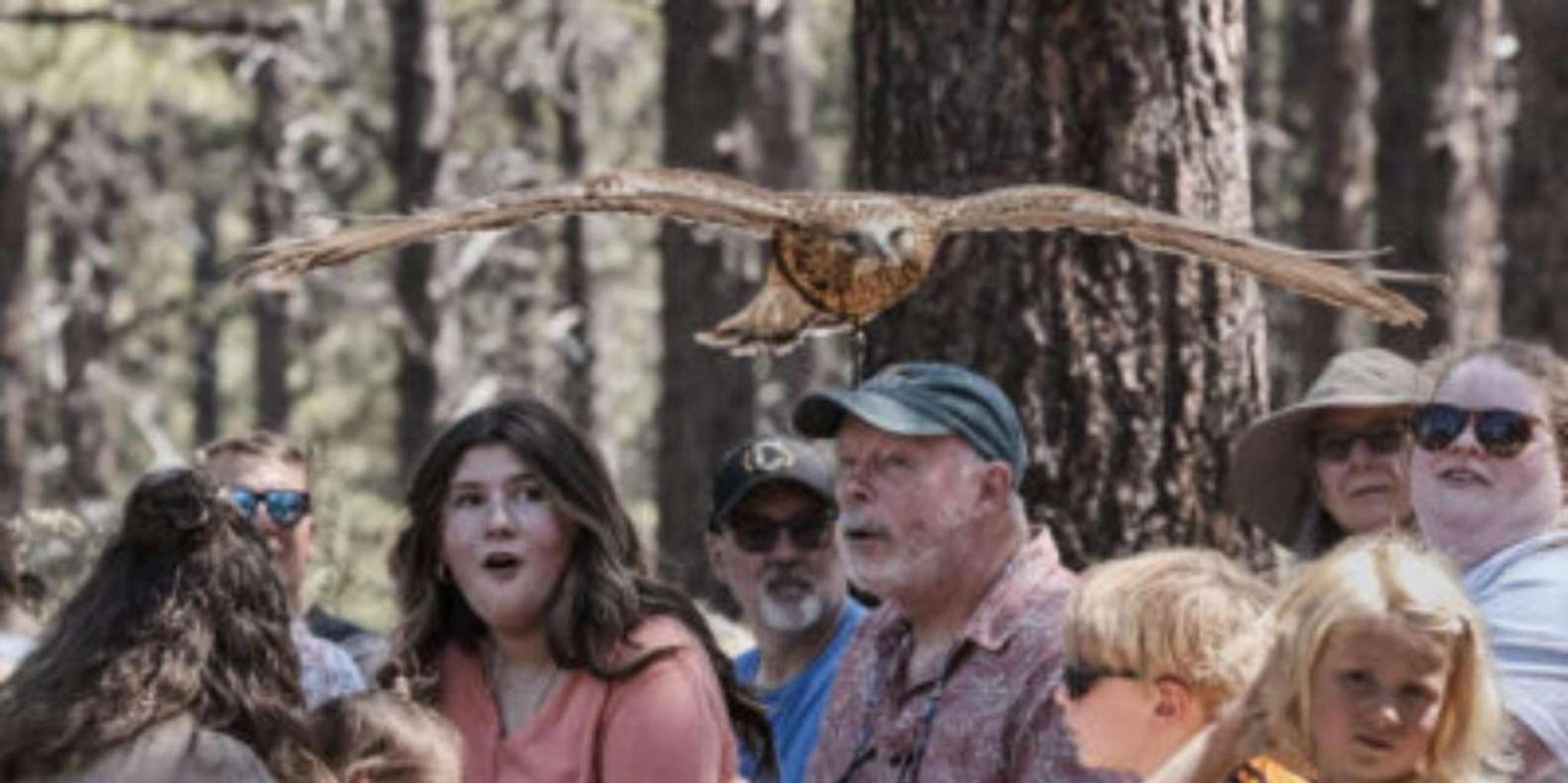 Bend High Desert Museum Entry Ticket - Image 4