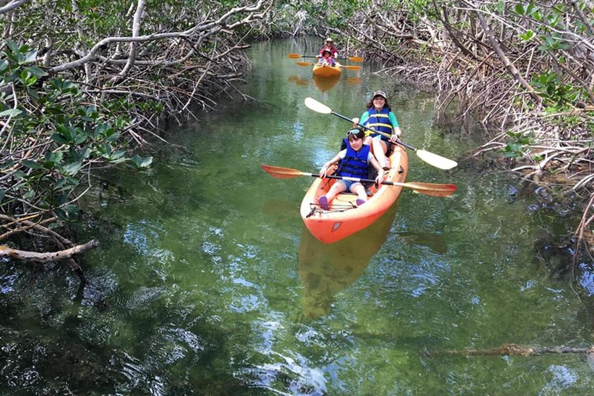 Key Largo Mangrove SUP/Kayak Rental - Image 6