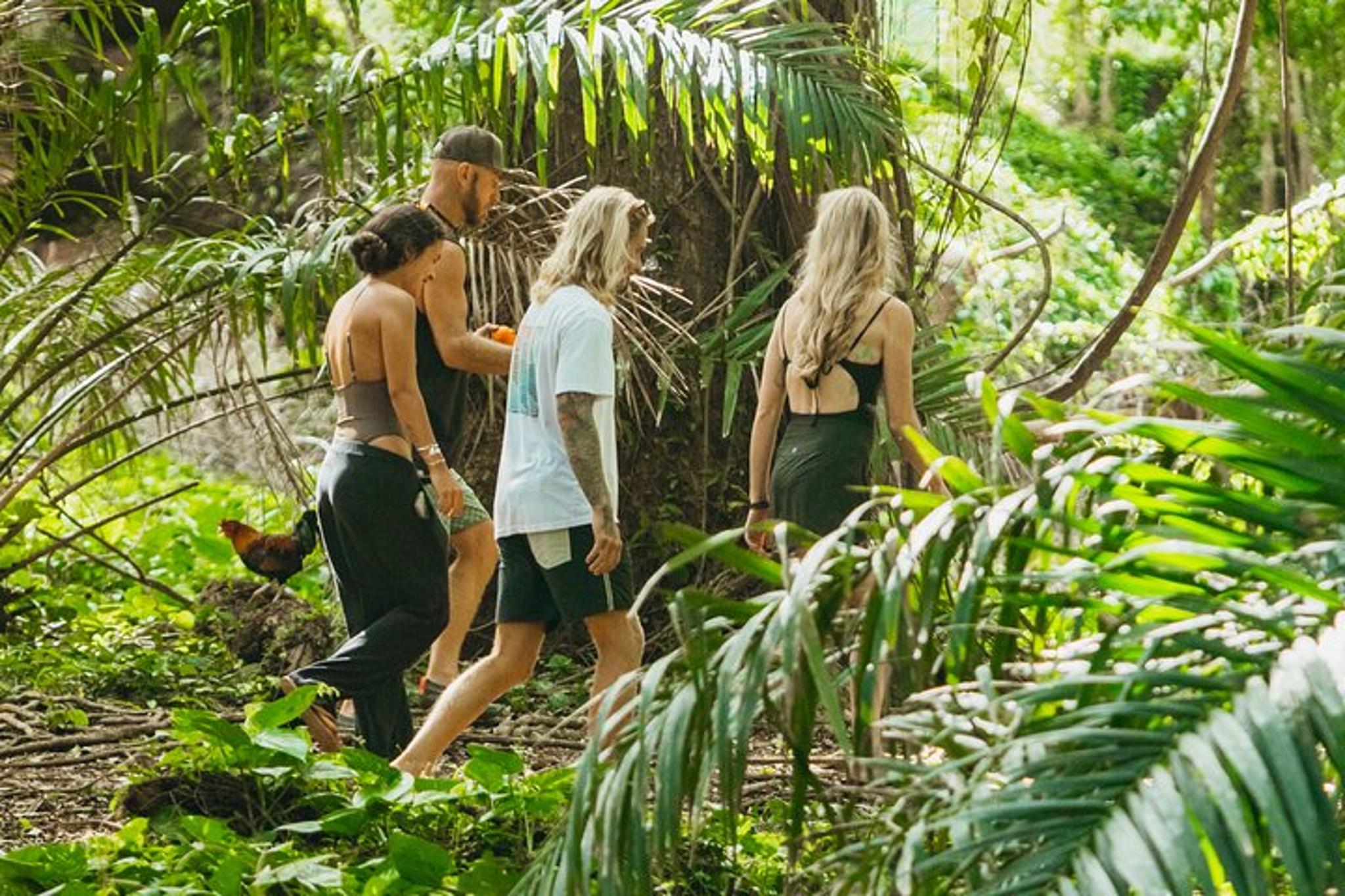 Maui Waterfall Beach and Jungle Tour - Image 5