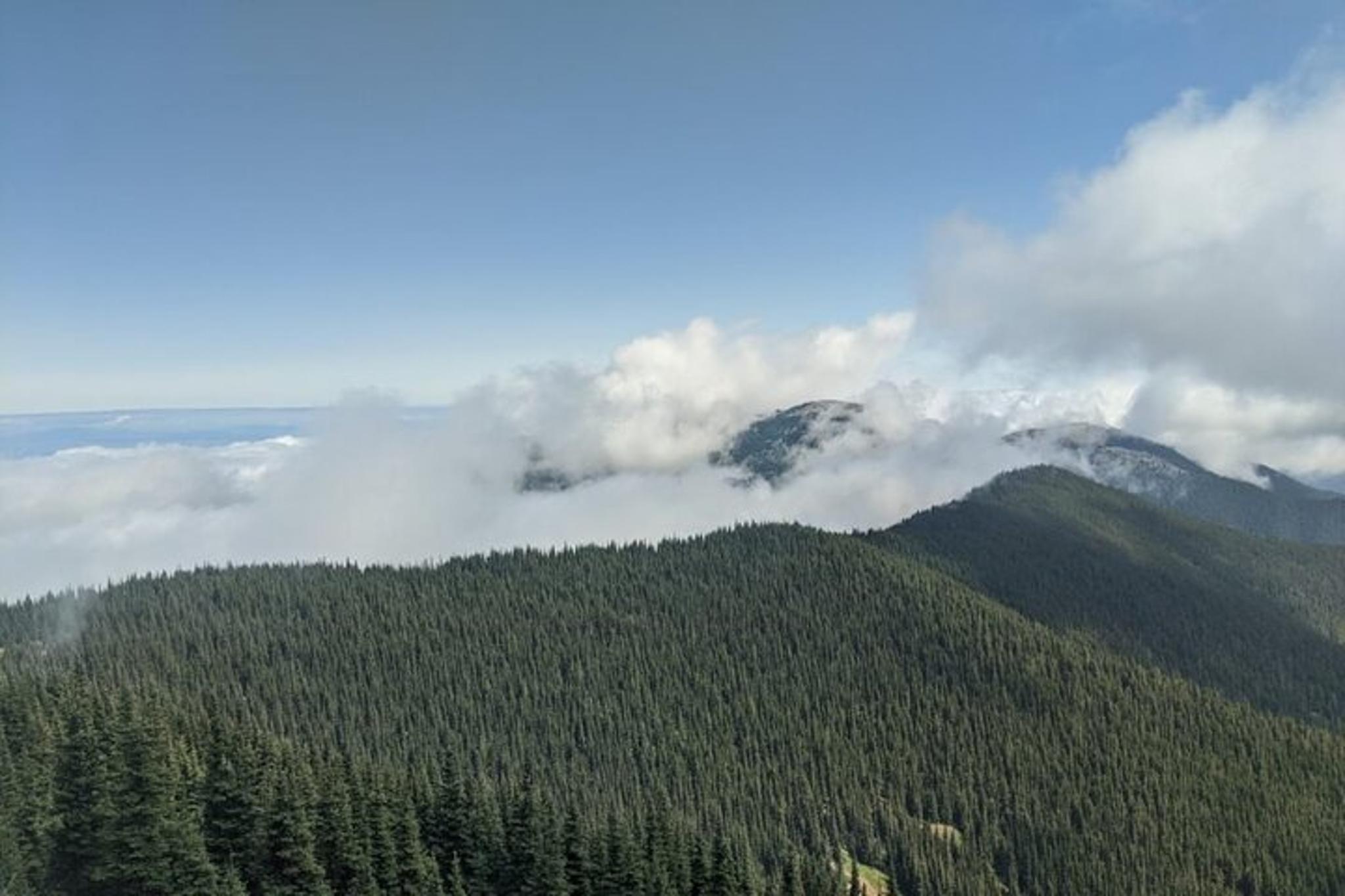 Olympic National Park Maiden Peak Day Hike - Image 5