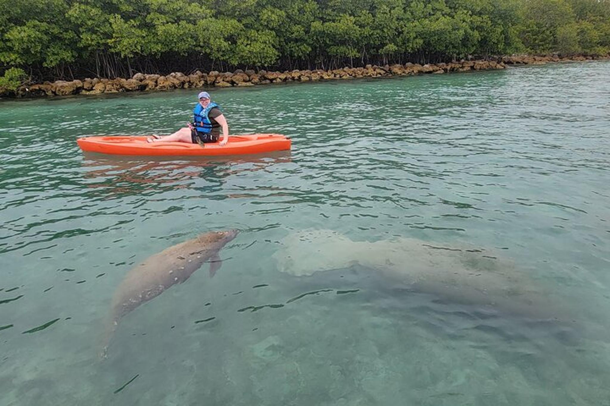 Miami Nature & Island Exploration on SUP/Kayak - Image 5
